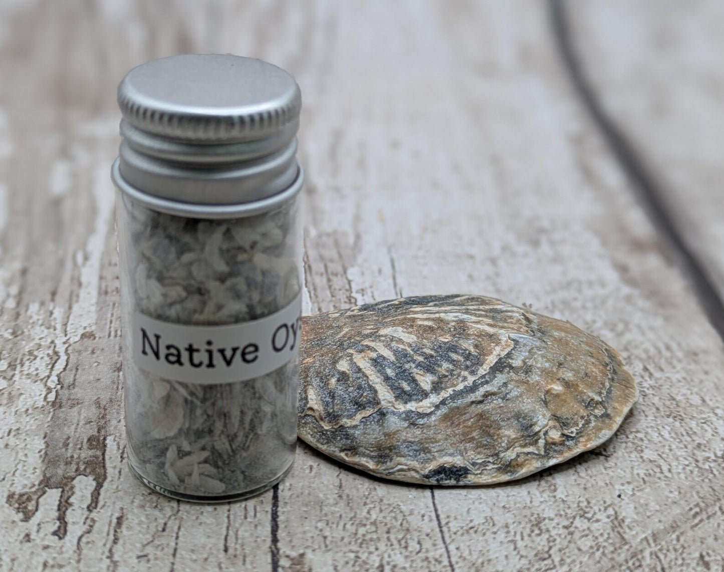 Coarse Ground Native Oyster Shell Powder – Natural Unrefined Pigment & Inlay Material – 10ml Glass Vial