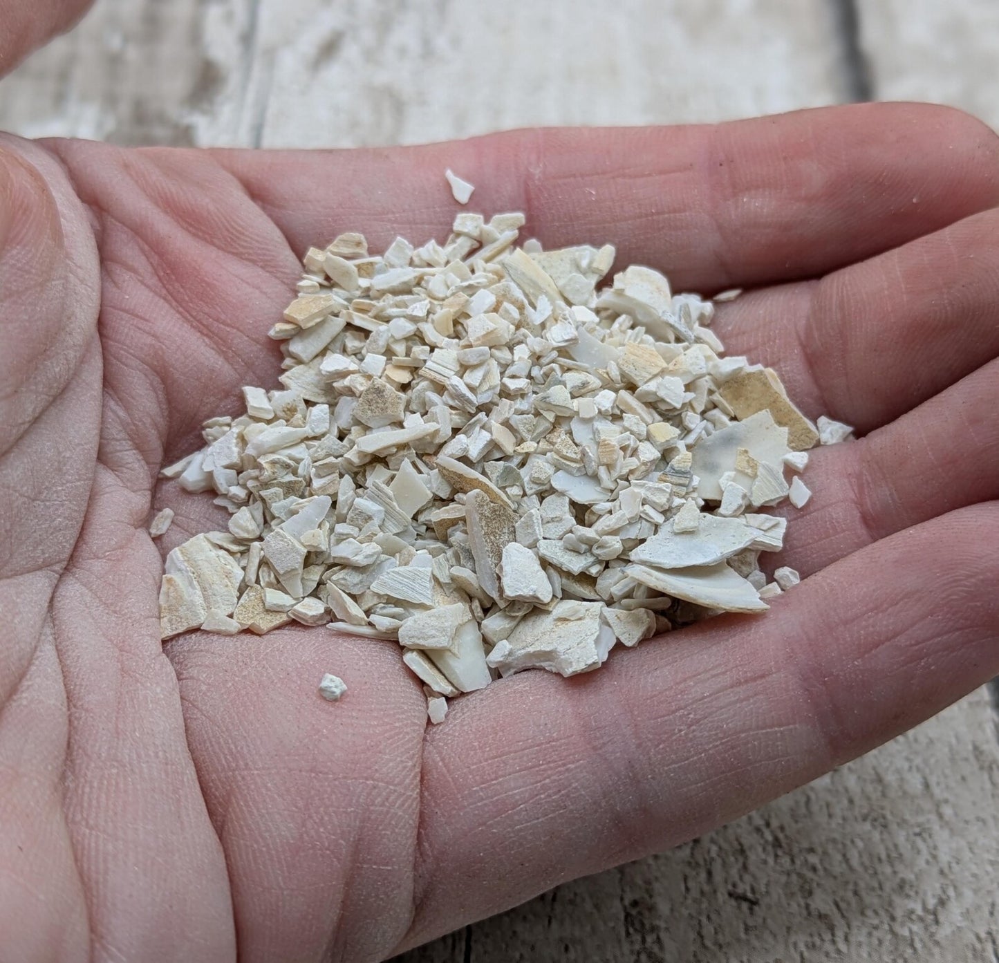 Coarse Ground White Mussel Shell Powder – Natural Pearlescent Pigment for Art, Resin & Inlay.