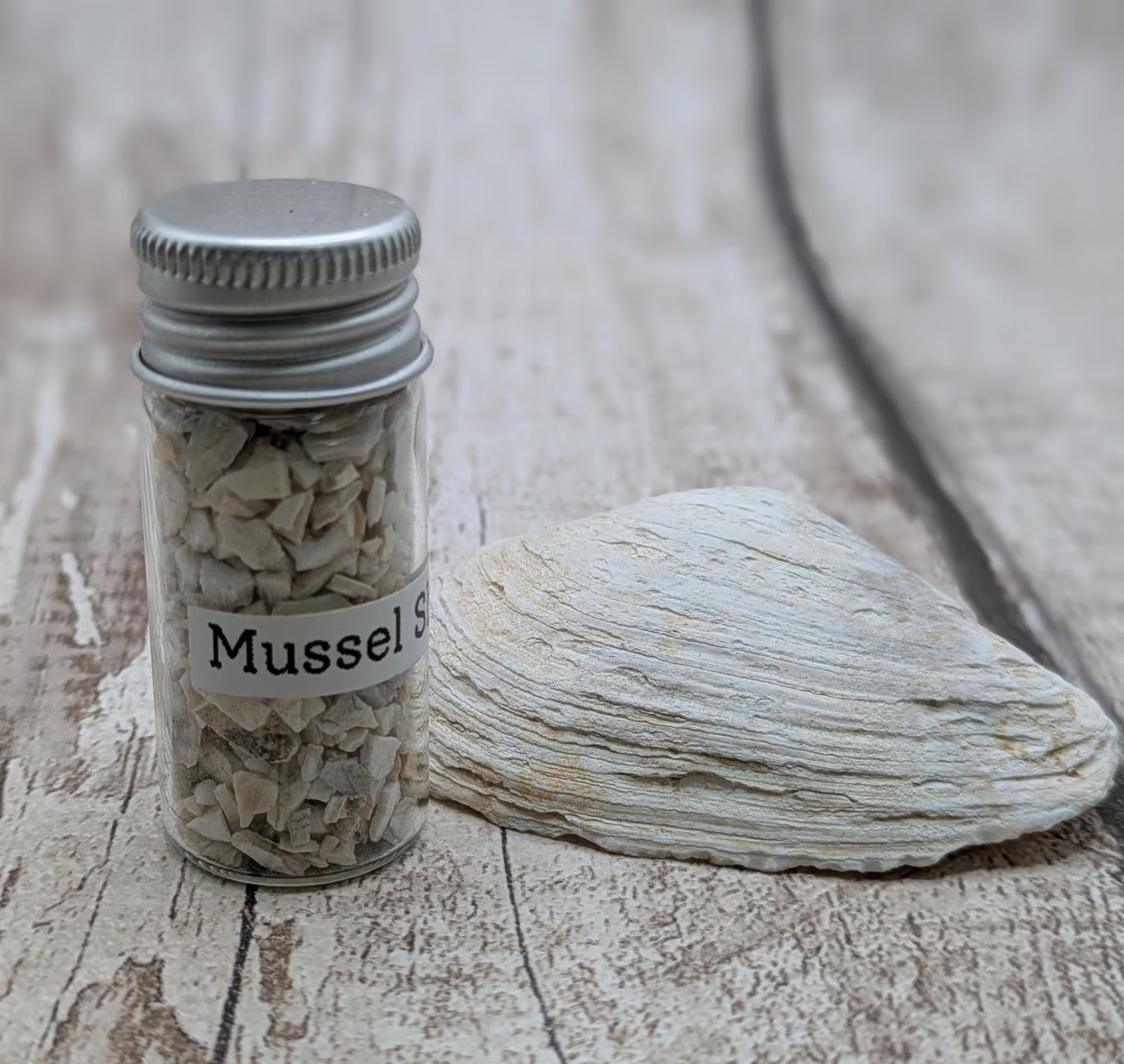 Coarse Ground White Mussel Shell Powder – Natural Pearlescent Pigment for Art, Resin & Inlay.