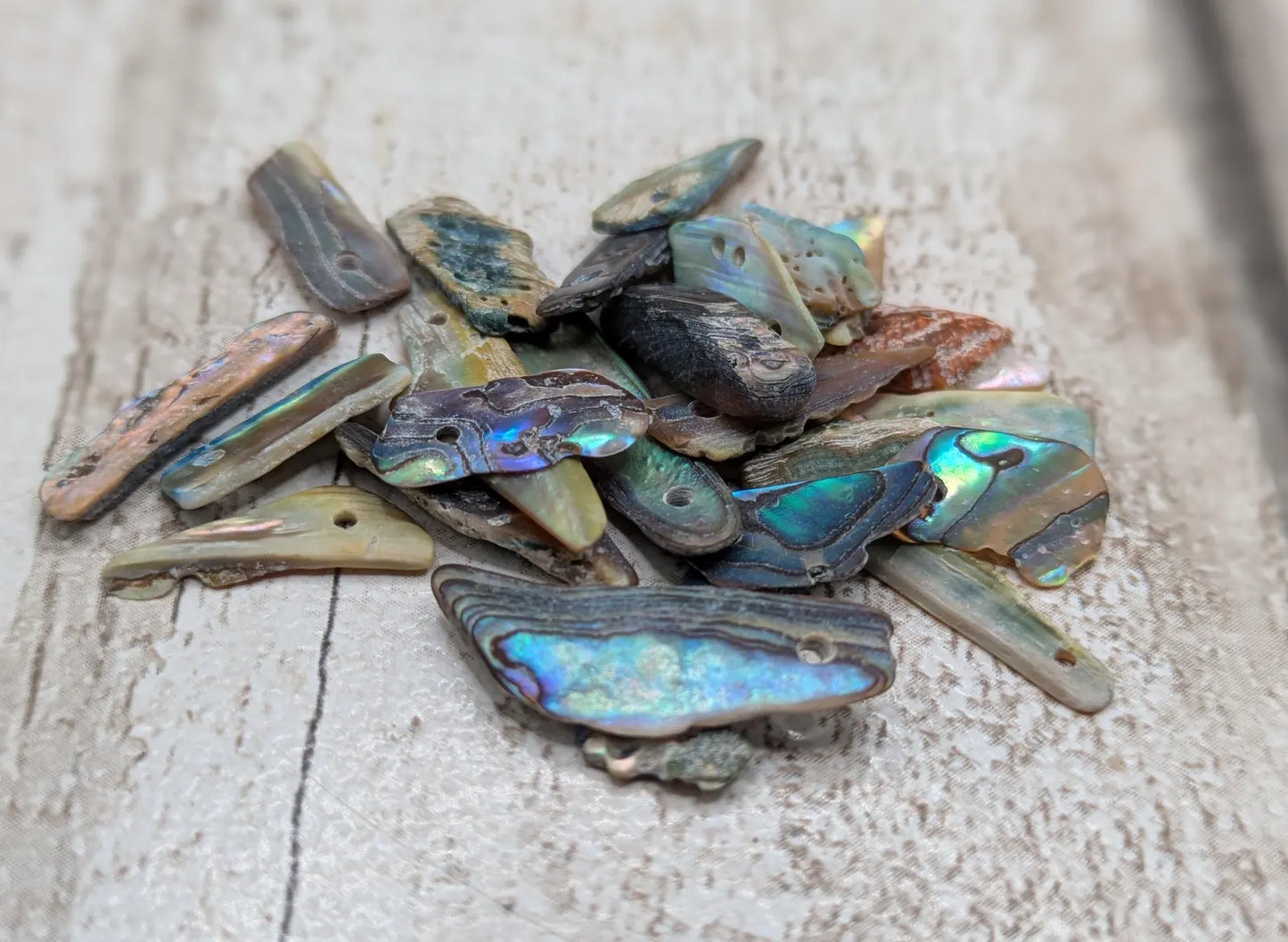 Tiny New Zealand abalone Pāua shell top drilled beads.