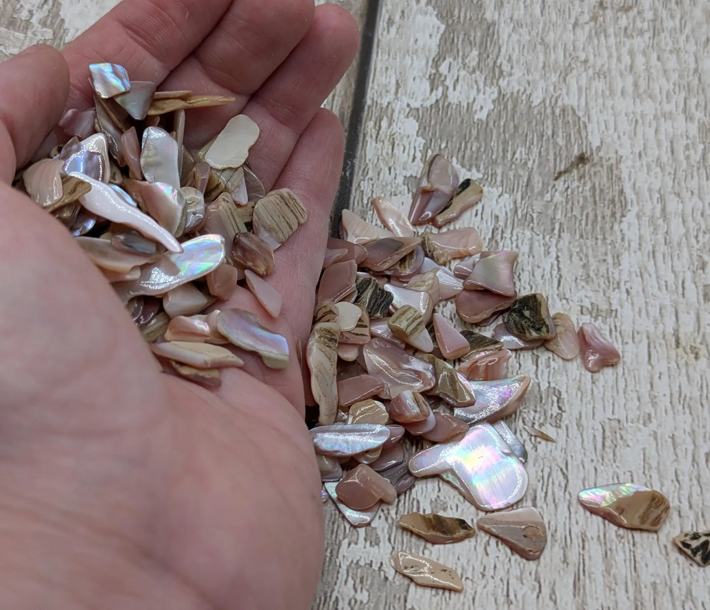 One pouch new Zealand pink fresh water mussel chips.