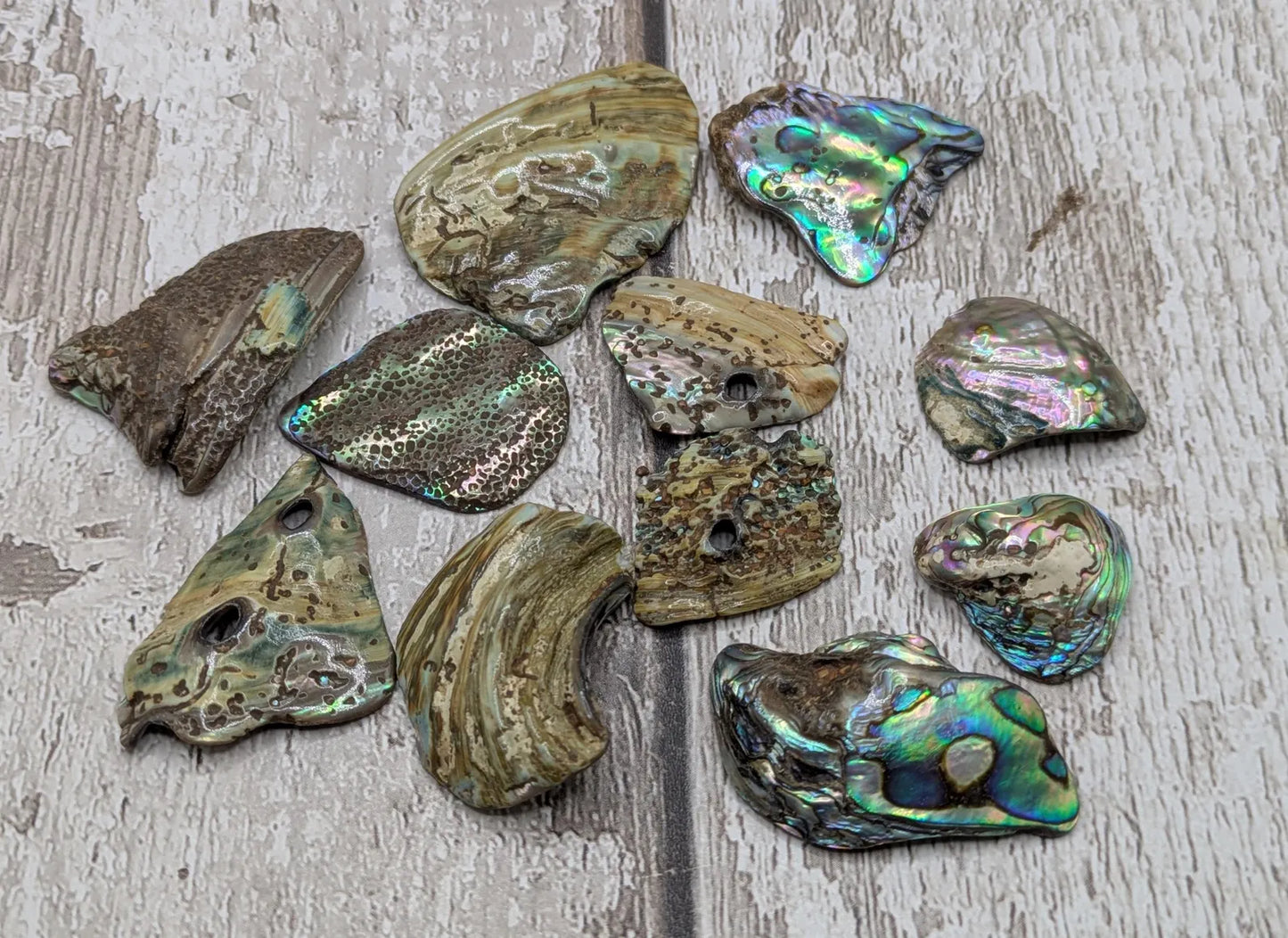 New Zealand rainbow pāua abalone shell odd shape pouch.