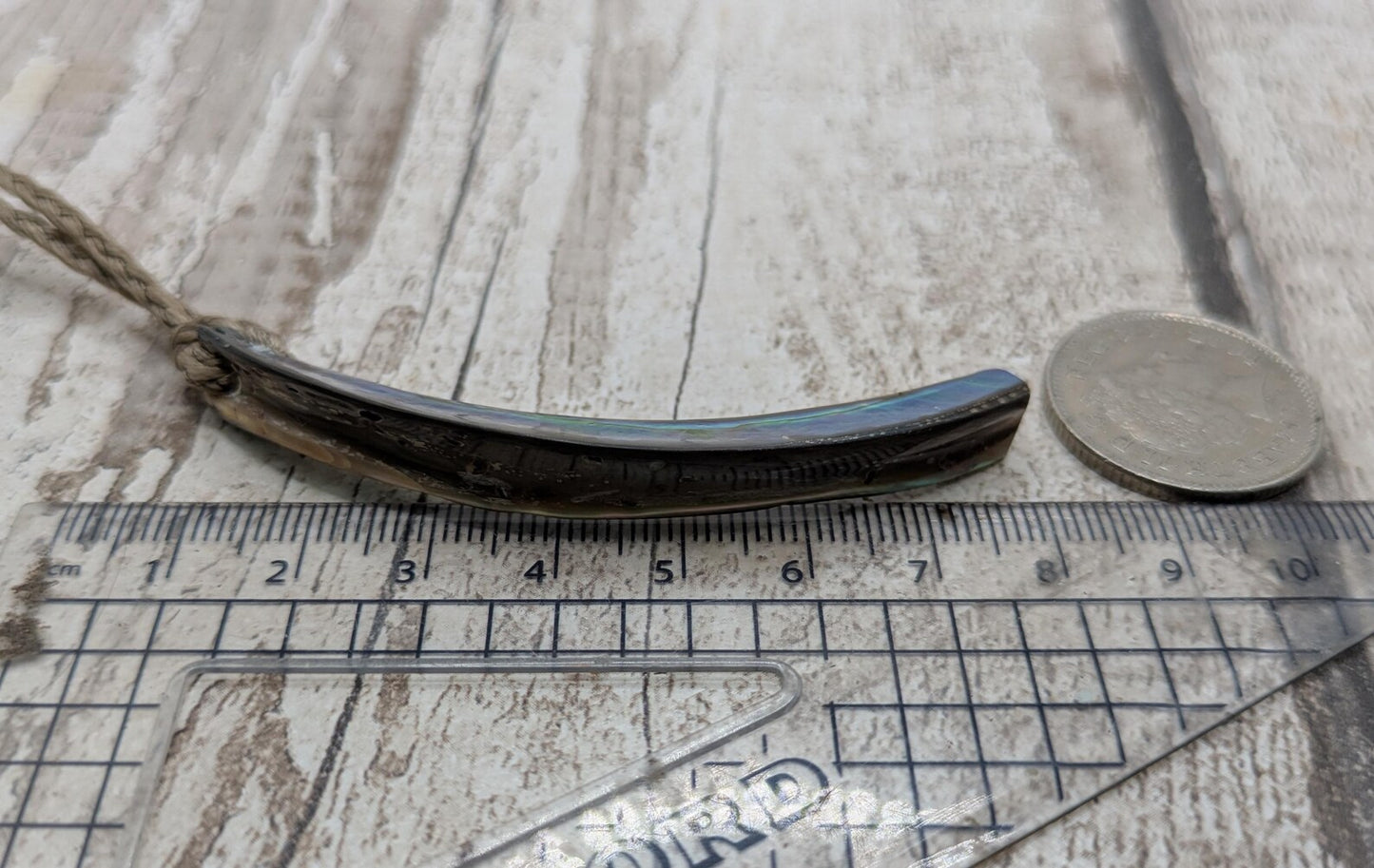 new Zealand rainbow pāua abalone shell lip rim pendant.