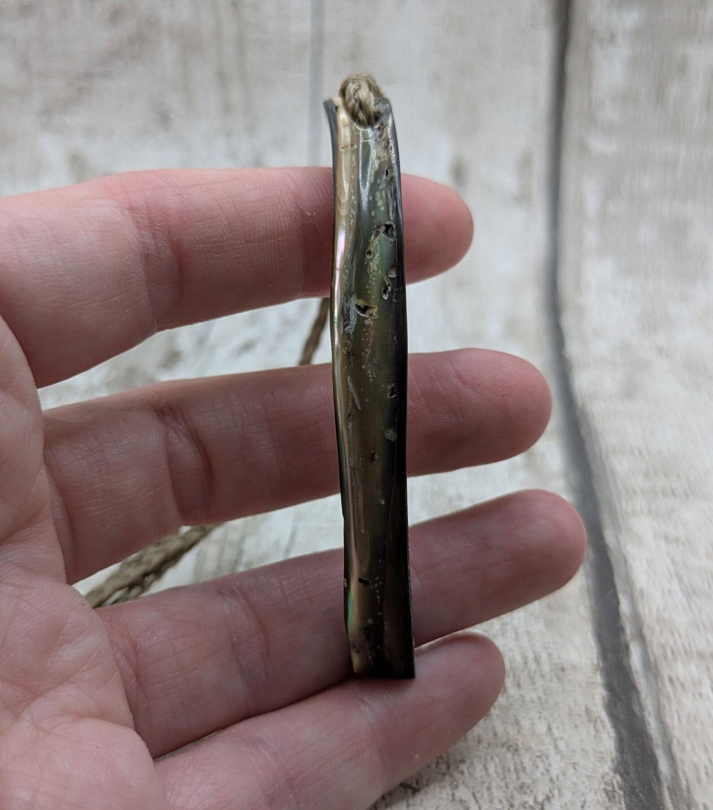 new Zealand rainbow pāua abalone shell lip rim pendant.