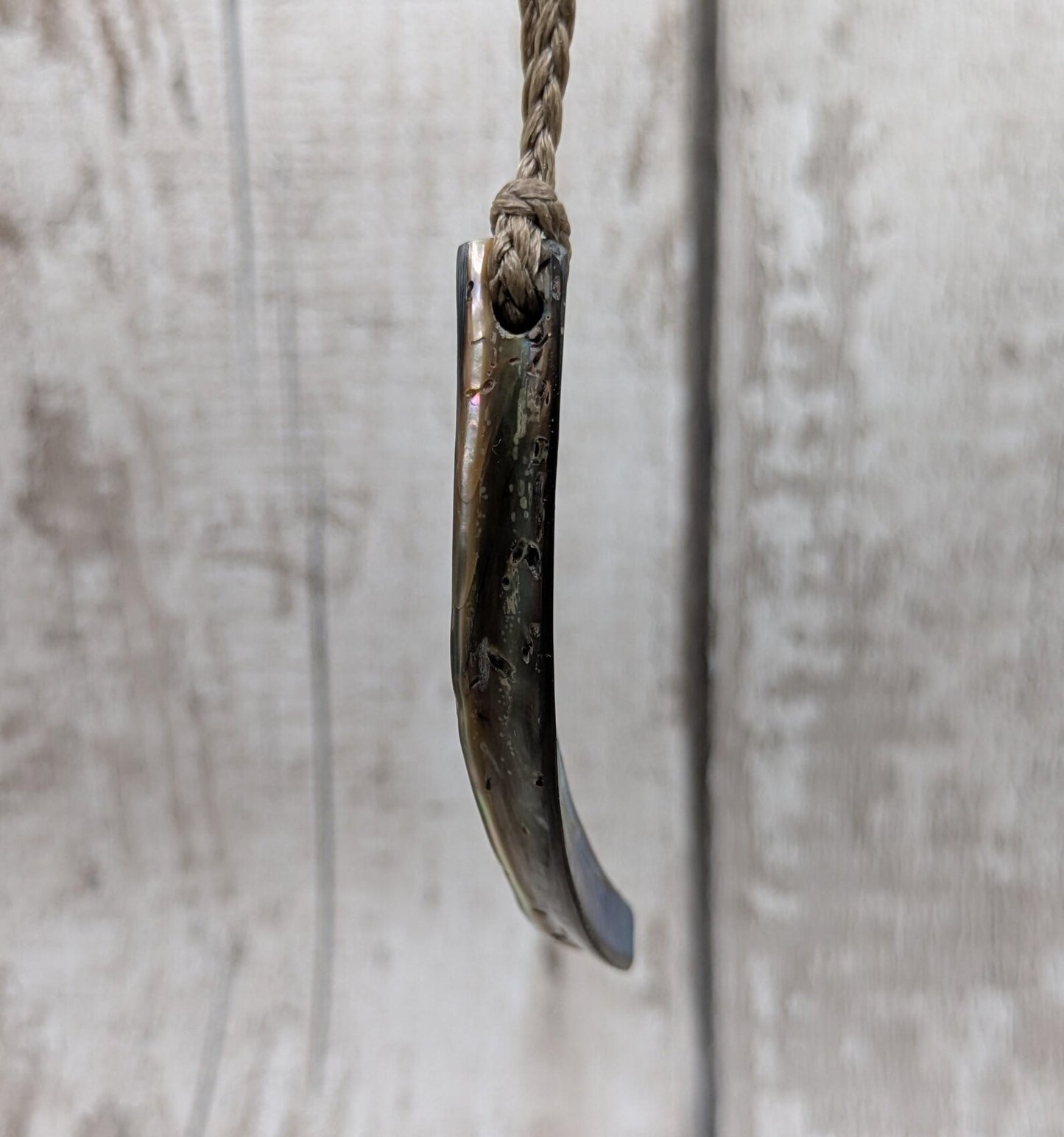 new Zealand rainbow pāua abalone shell lip rim pendant.