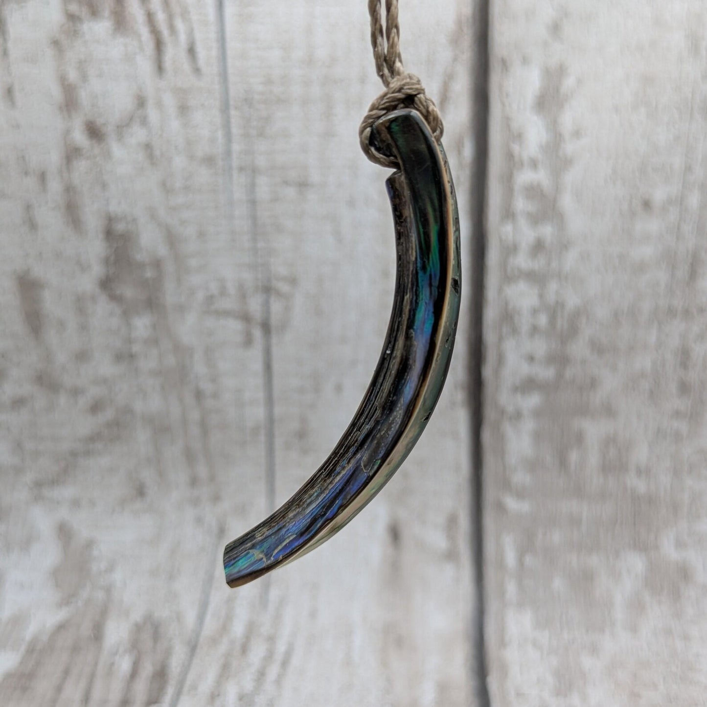 new Zealand rainbow pāua abalone shell lip rim pendant.