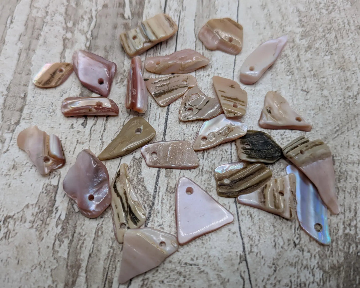 String of 20 Pink New Zealand Freshwater Mussel Beads – Top-Drilled DIY Shell Necklace Supply