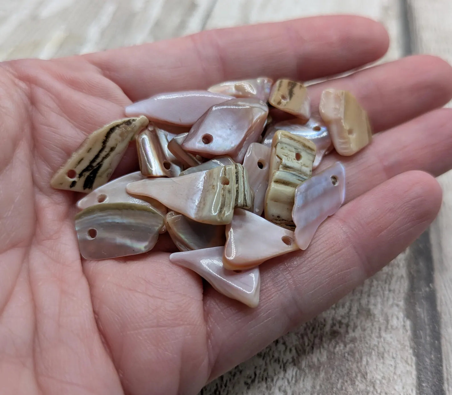 String of 20 Pink New Zealand Freshwater Mussel Beads – Top-Drilled DIY Shell Necklace Supply