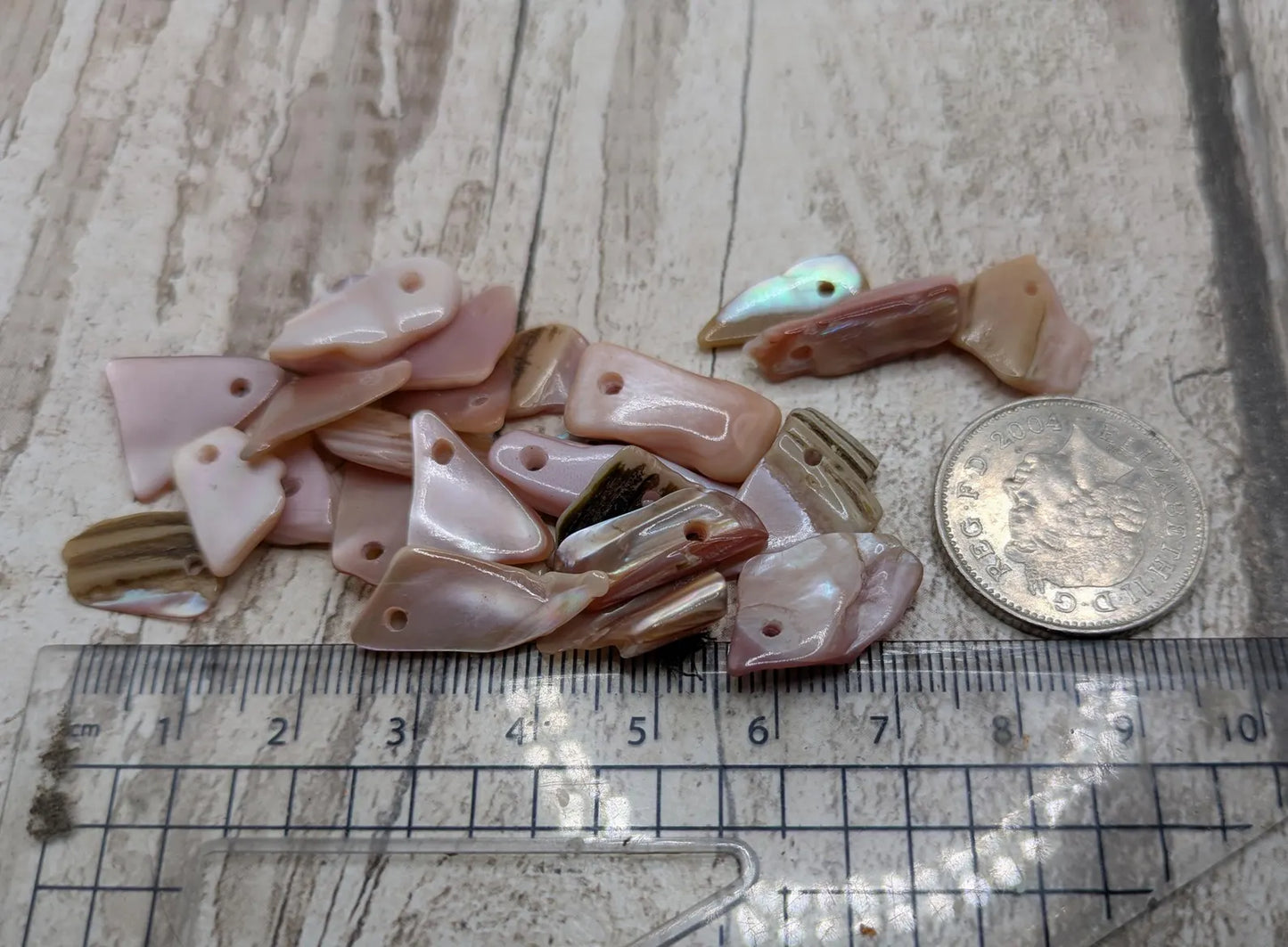 String of 20 Pink New Zealand Freshwater Mussel Beads – Top-Drilled DIY Shell Necklace Supply