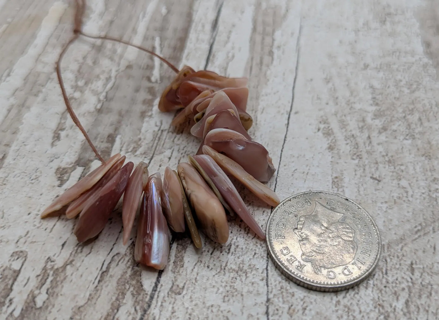 String of 20 Pink New Zealand Freshwater Mussel Beads – Top-Drilled DIY Shell Necklace Supply