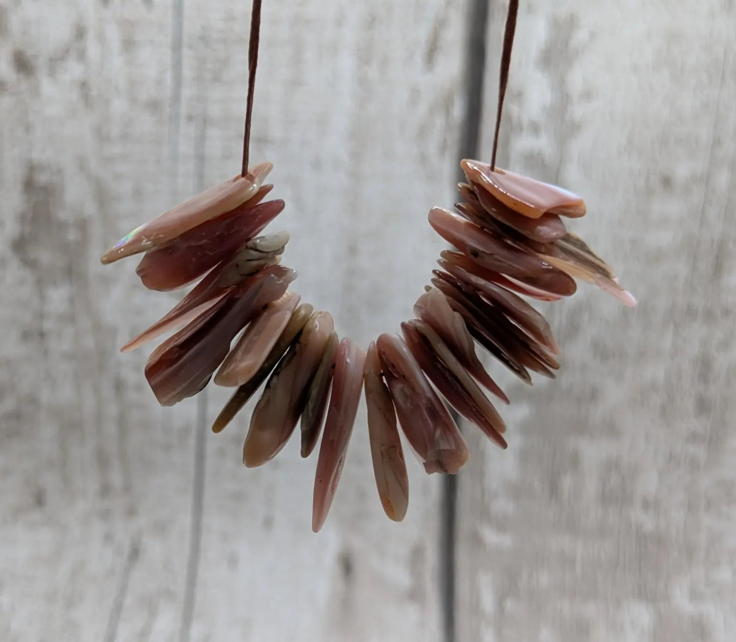 String of 20 Pink New Zealand Freshwater Mussel Beads – Top-Drilled DIY Shell Necklace Supply