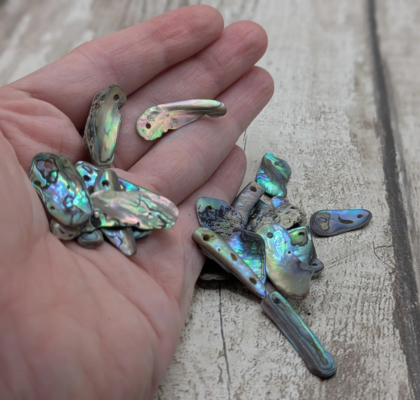 20 Rainbow NZ Pāua Shell Beads – Long Top-Drilled Natural Abalone for Jewellery Making & Art Projects.