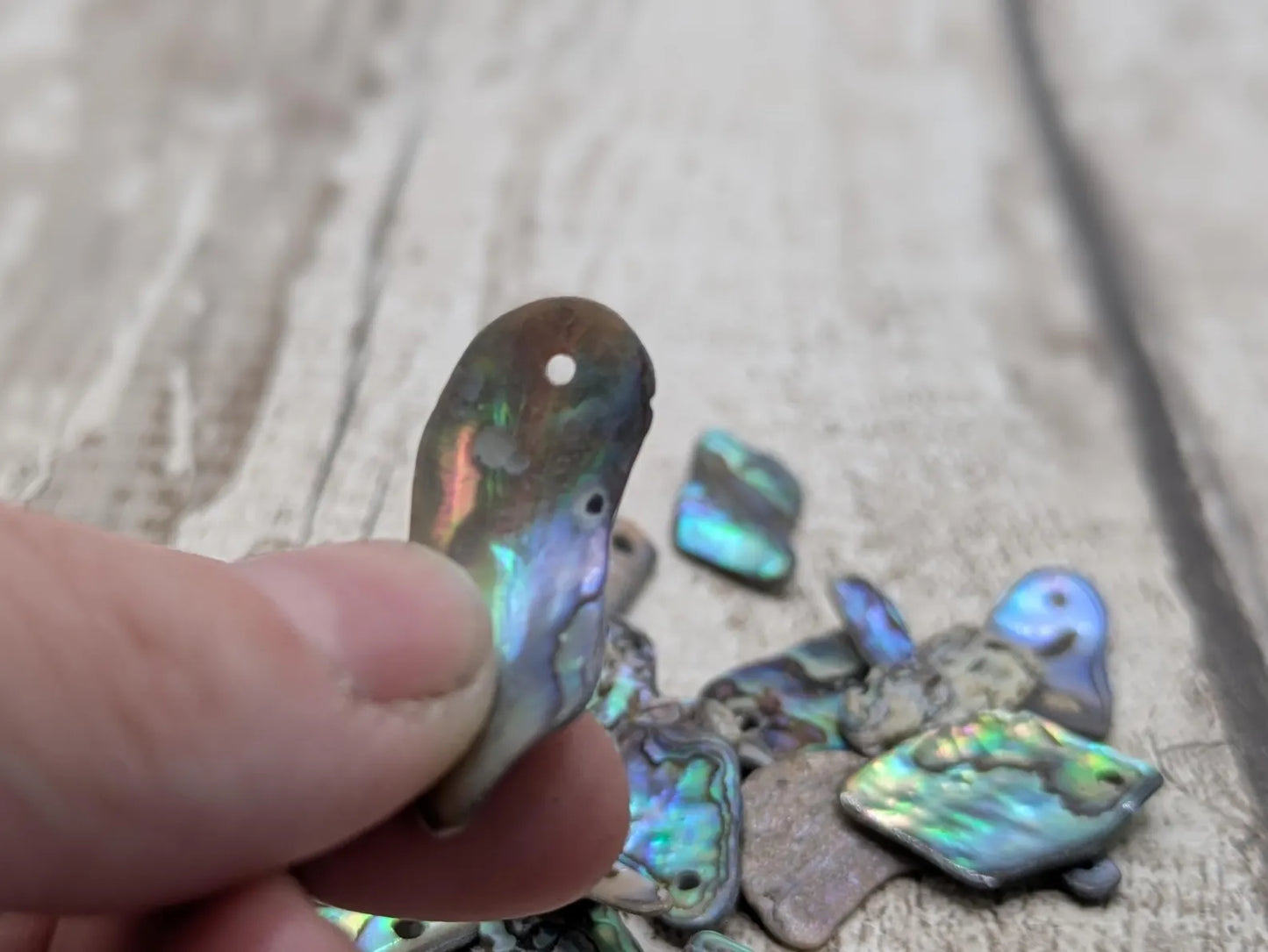 20 Rainbow NZ Pāua Shell Beads – Long Top-Drilled Natural Abalone for Jewellery Making & Art Projects.