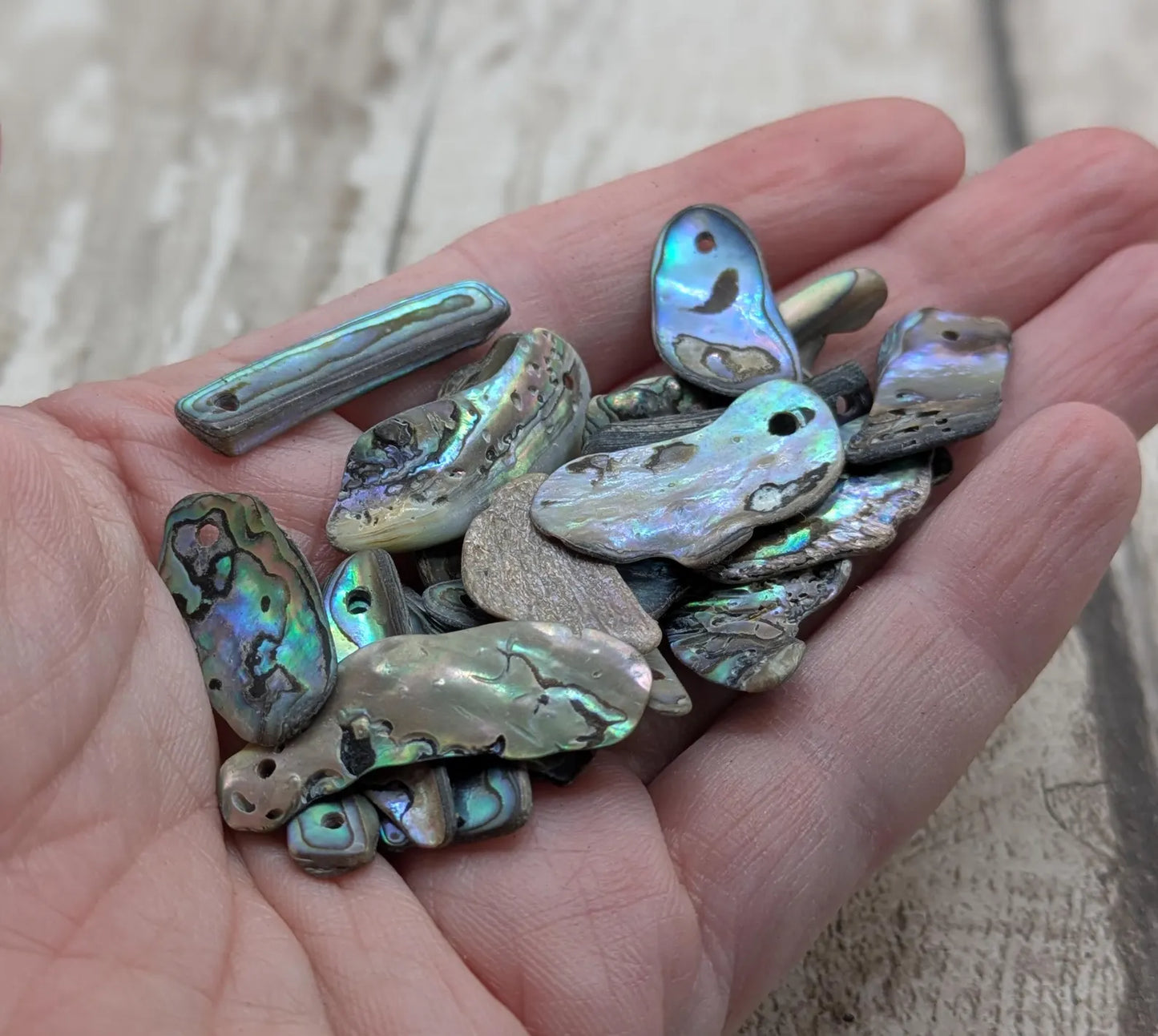 20 Rainbow NZ Pāua Shell Beads – Long Top-Drilled Natural Abalone for Jewellery Making & Art Projects.