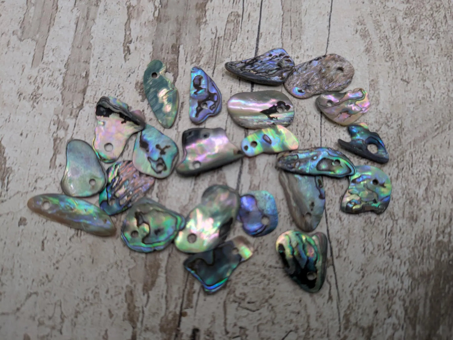 20 Rainbow NZ Pāua Shell Beads – Top-Drilled Natural Abalone for Jewelry Making & Art Projects.
