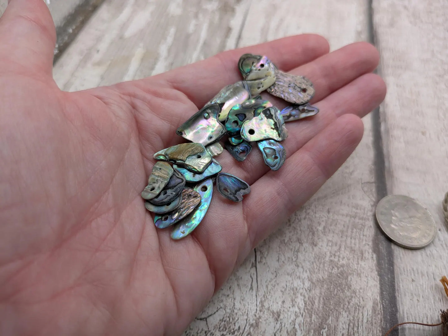 20 Rainbow NZ Pāua Shell Beads – Top-Drilled Natural Abalone for Jewelry Making & Art Projects.