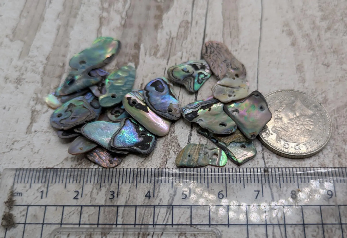 20 Rainbow NZ Pāua Shell Beads – Top-Drilled Natural Abalone for Jewelry Making & Art Projects.