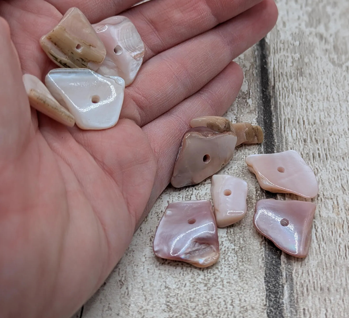 10 Chunky new Zealand freshwater pink mussel shell center drilled beads.