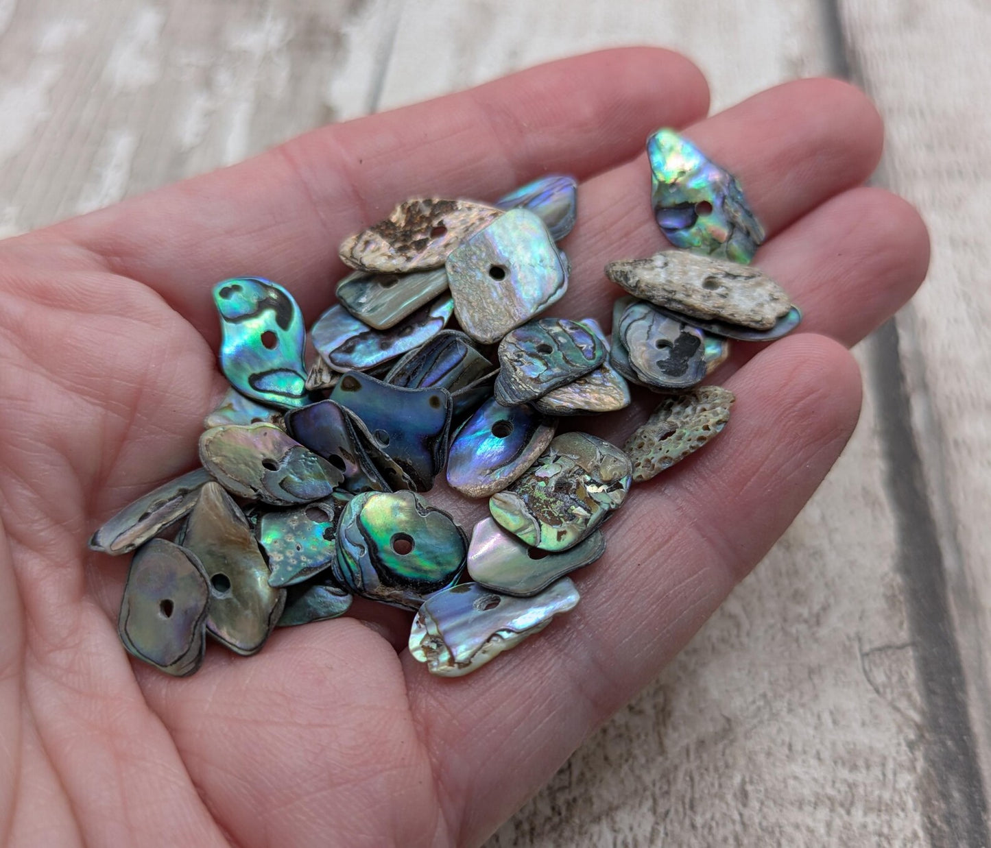 20 Rainbow NZ Pāua Shell Beads – Centre-Drilled Natural Abalone for Jewelry Making & Craft Projects.