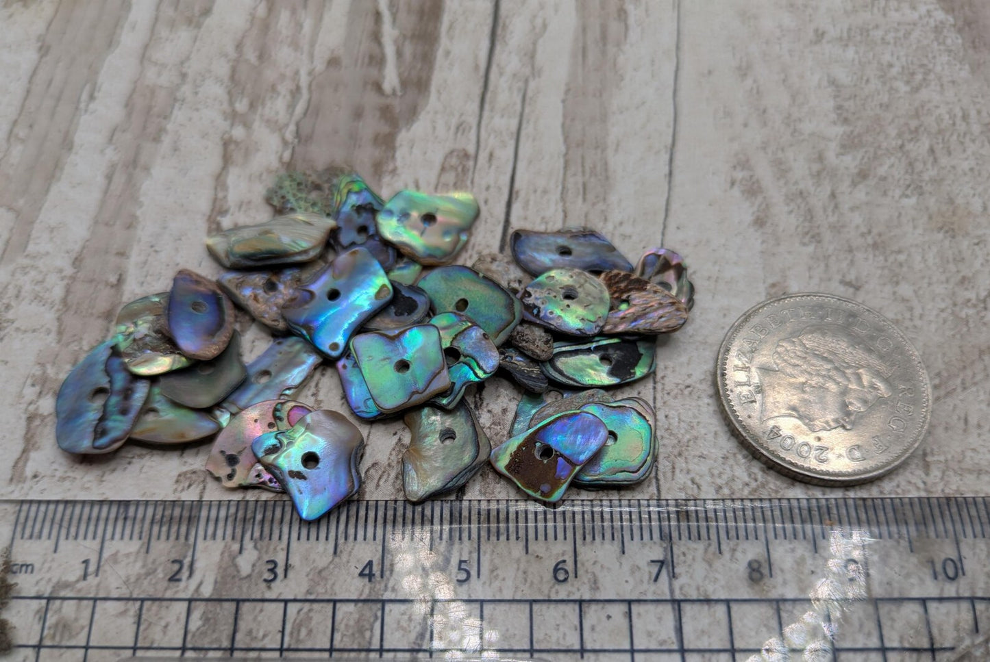 20 Rainbow NZ Pāua Shell Beads – Centre-Drilled Natural Abalone for Jewelry Making & Craft Projects.