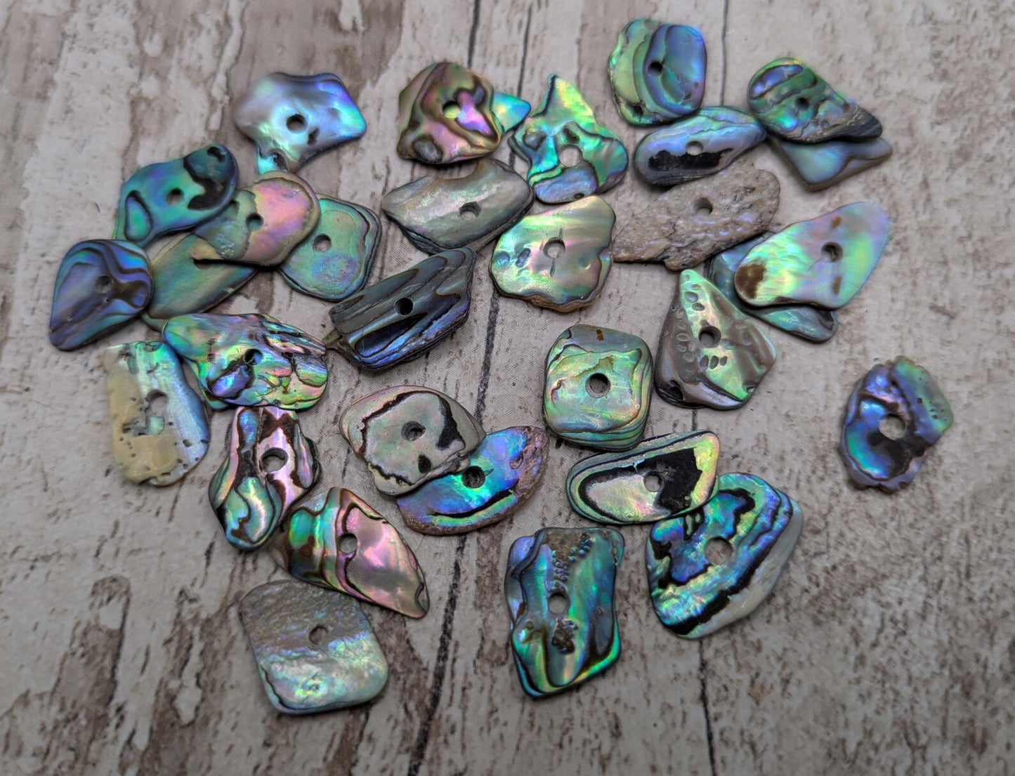 20 Rainbow NZ Pāua Shell Beads – Centre-Drilled Natural Abalone for Jewelry Making & Craft Projects.