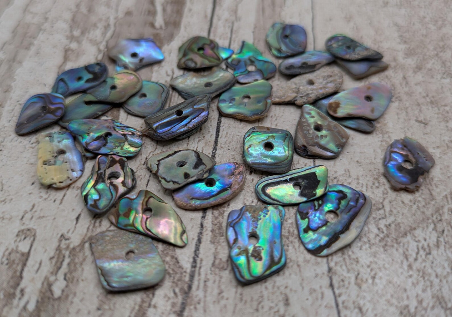 20 Rainbow NZ Pāua Shell Beads – Centre-Drilled Natural Abalone for Jewelry Making & Craft Projects.