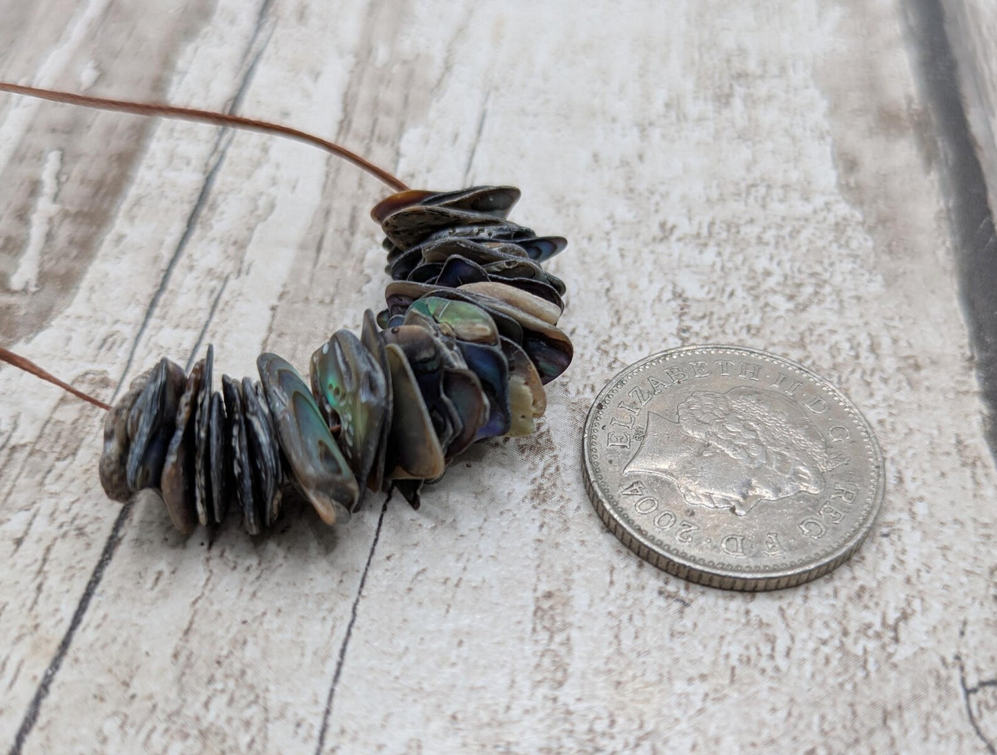 20 Rainbow NZ Pāua Shell Beads – Centre-Drilled Natural Abalone for Jewelry Making & Craft Projects.