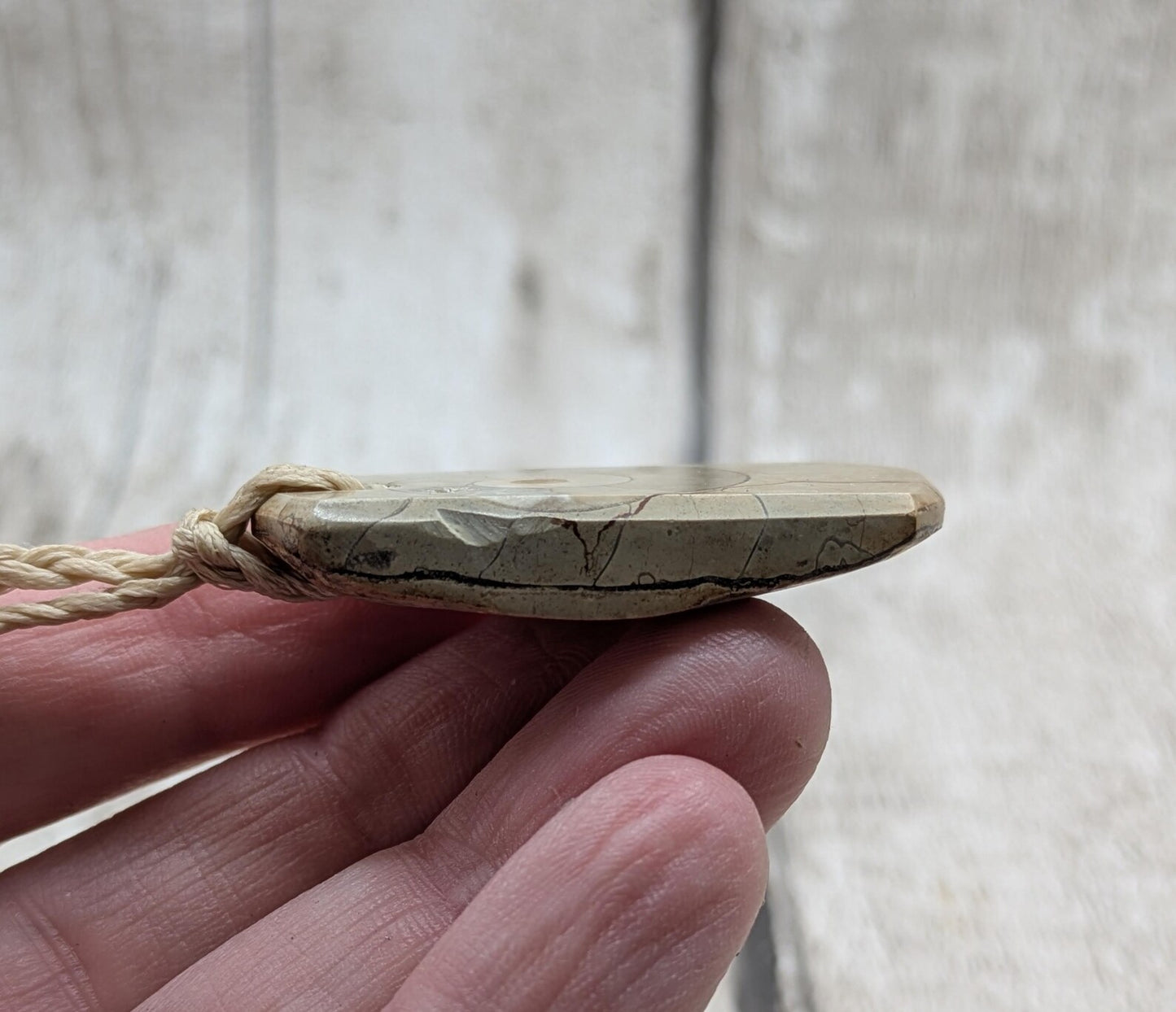 Jurassic Charmouth Ammonite Pendant – Calcite-Crystal in Limestone Fossil Necklace - Natural history - Fibonacci sequence amulet.