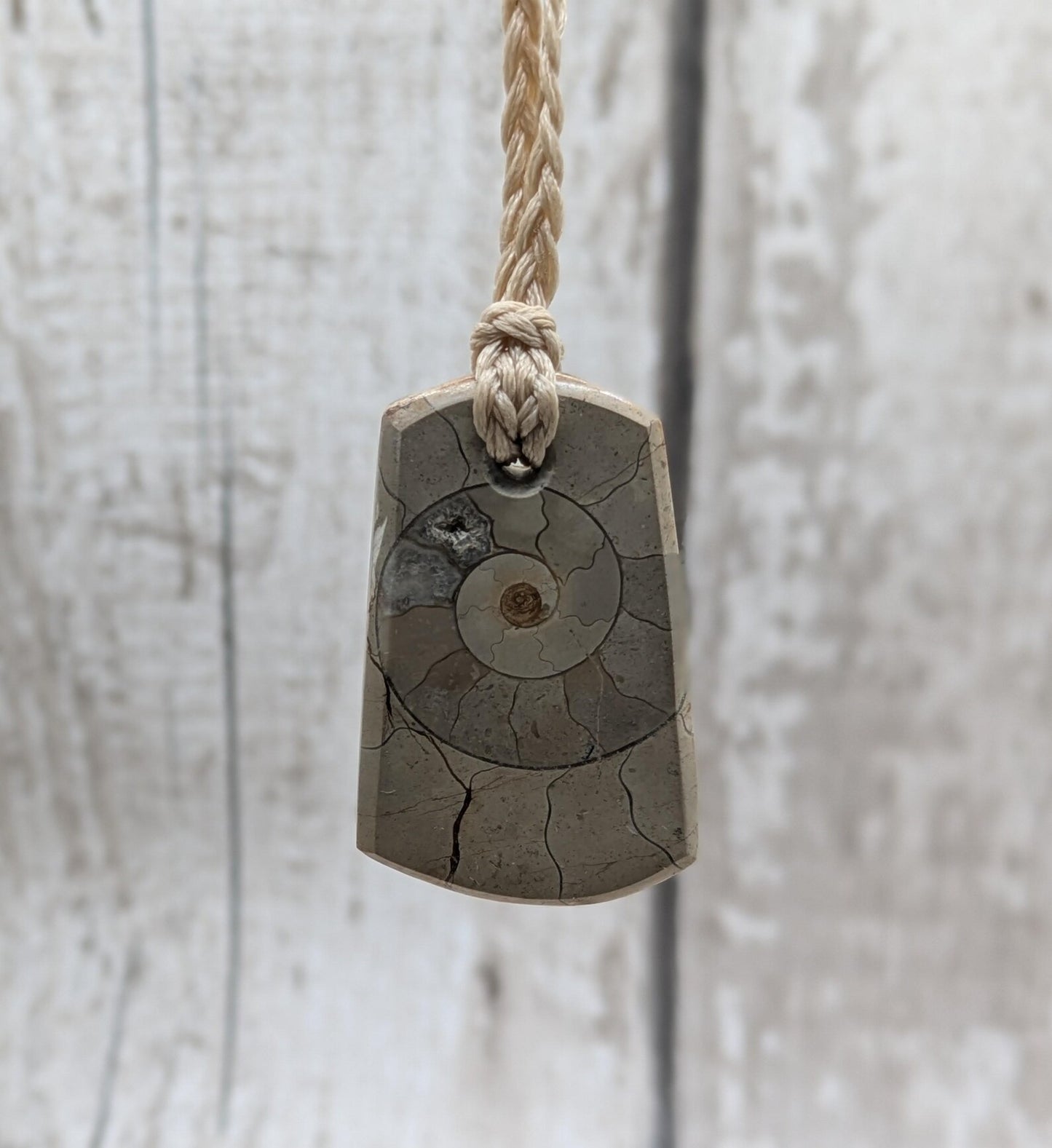 Jurassic Charmouth Ammonite Pendant – Calcite-Crystal in Limestone Fossil Necklace - Natural history - Fibonacci sequence amulet.