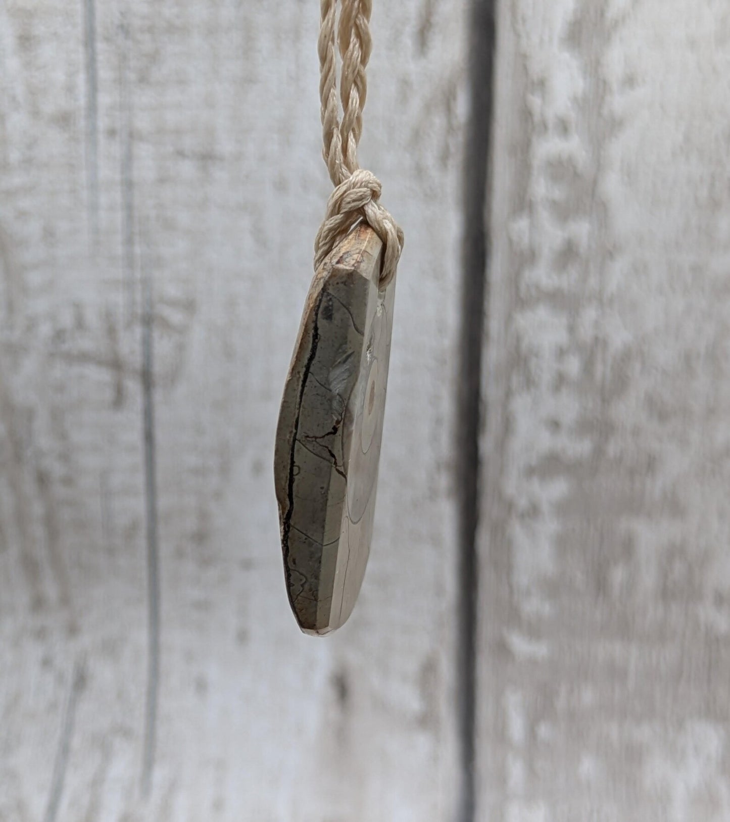 Jurassic Charmouth Ammonite Pendant – Calcite-Crystal in Limestone Fossil Necklace - Natural history - Fibonacci sequence amulet.