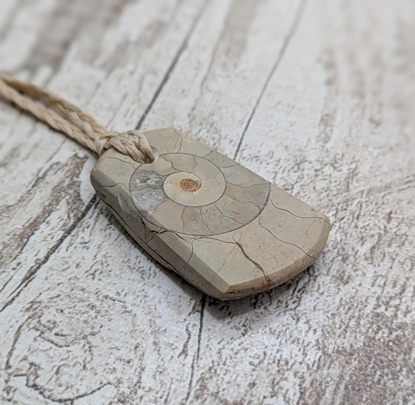 Jurassic Charmouth Ammonite Pendant – Calcite-Crystal in Limestone Fossil Necklace - Natural history - Fibonacci sequence amulet.