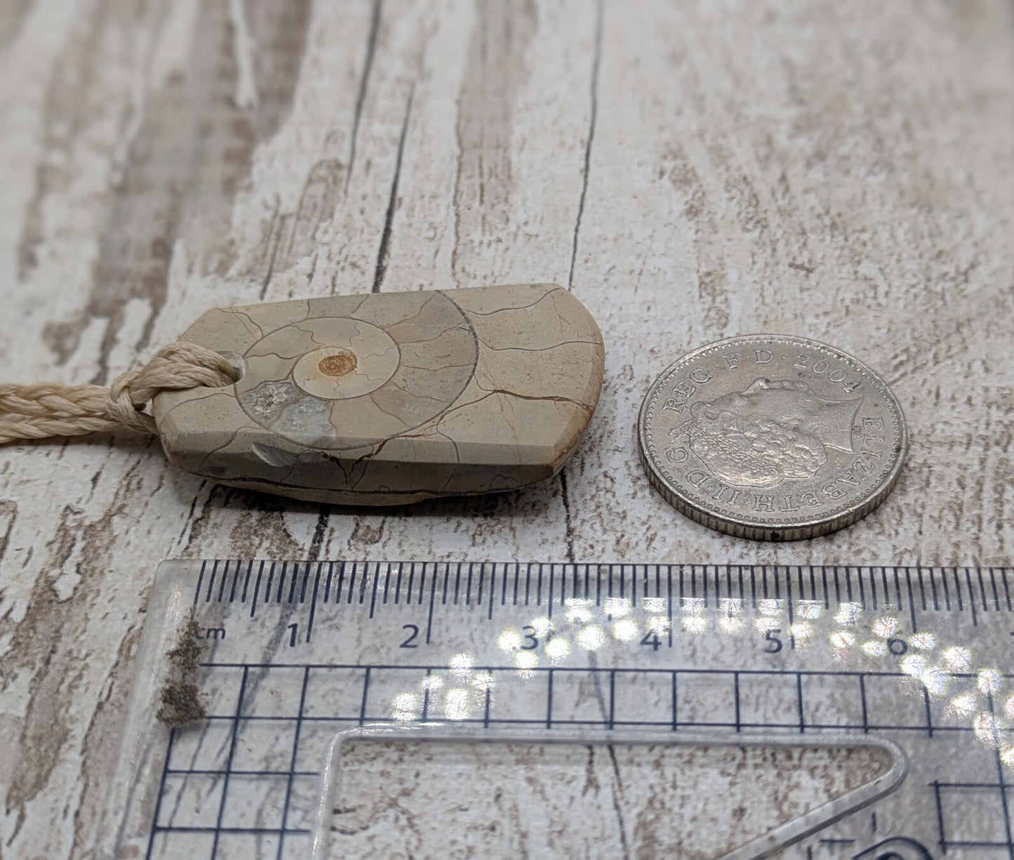 Jurassic Charmouth Ammonite Pendant – Calcite-Crystal in Limestone Fossil Necklace - Natural history - Fibonacci sequence amulet.