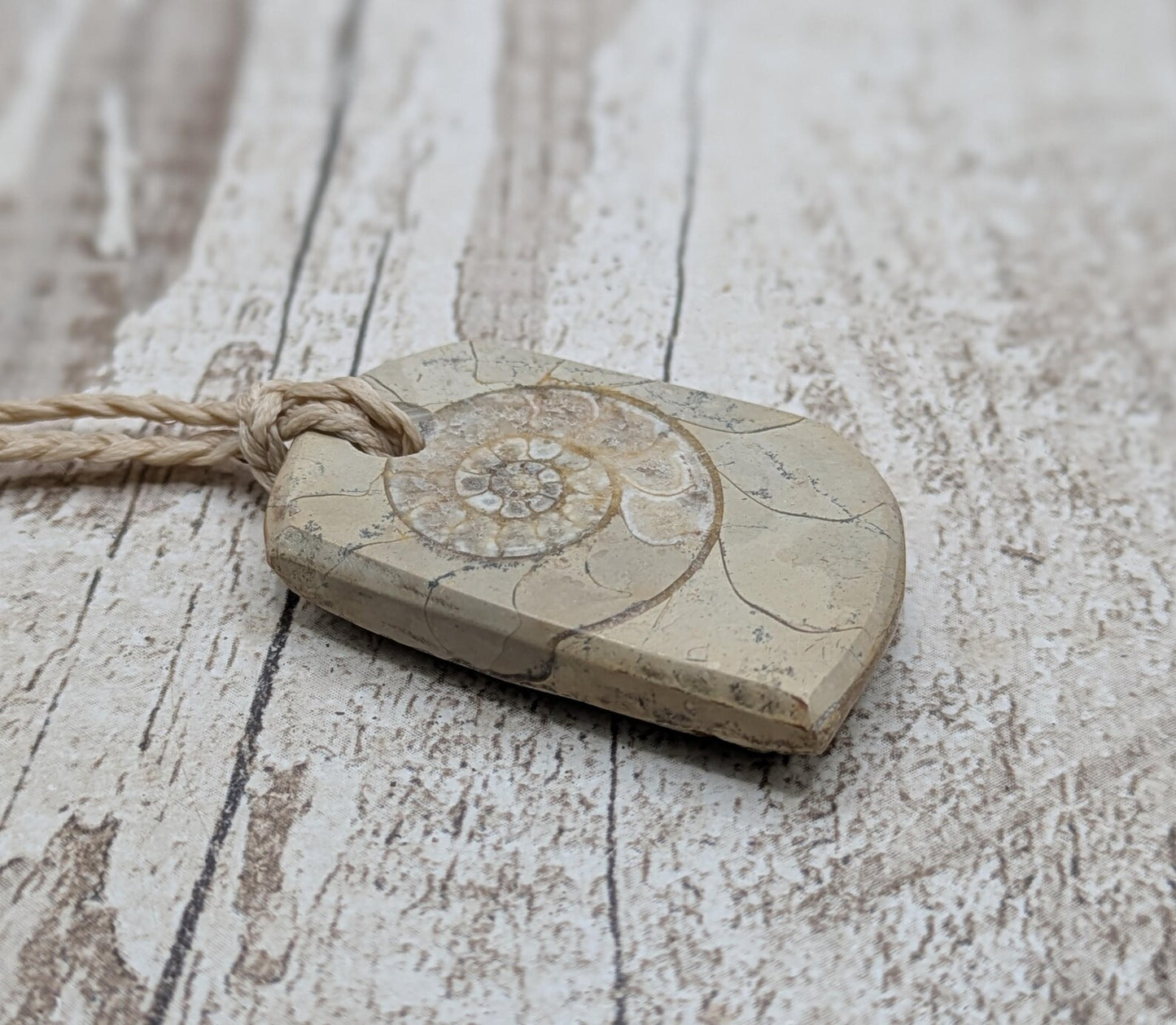 Jurassic Charmouth Ammonite Pendant – Calcite-Crystal in Limestone Fossil Necklace - Natural history - Fibonacci sequence amulet.