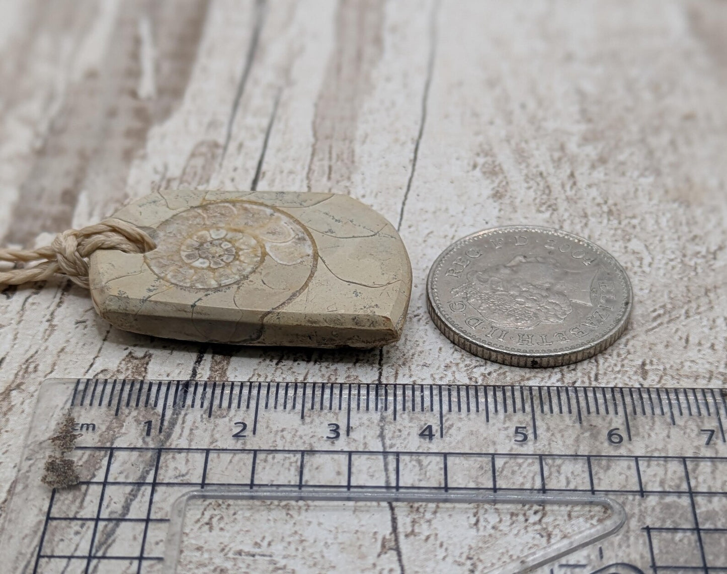 Jurassic Charmouth Ammonite Pendant – Calcite-Crystal in Limestone Fossil Necklace - Natural history - Fibonacci sequence amulet.