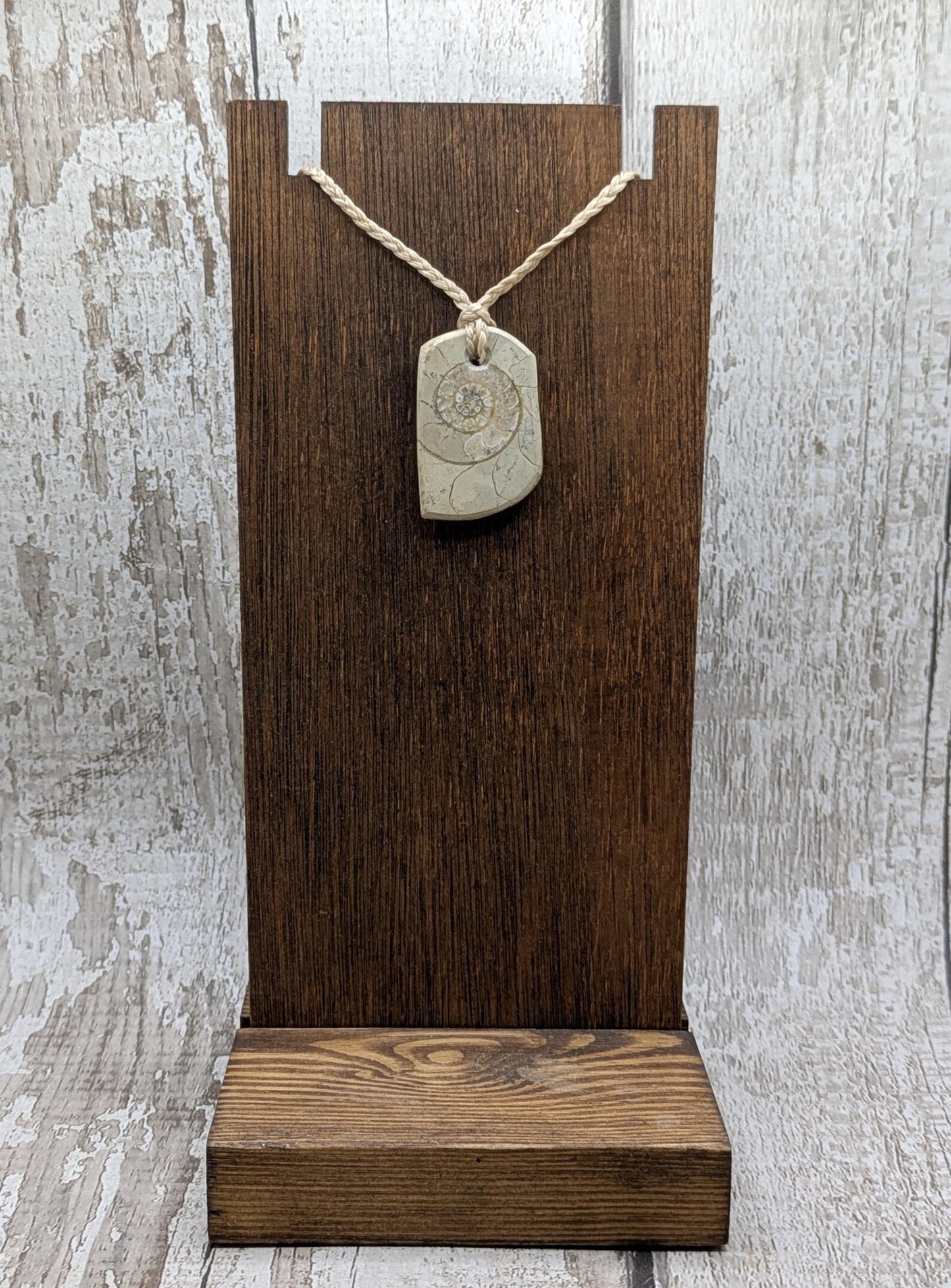Jurassic Charmouth Ammonite Pendant – Calcite-Crystal in Limestone Fossil Necklace - Natural history - Fibonacci sequence amulet.