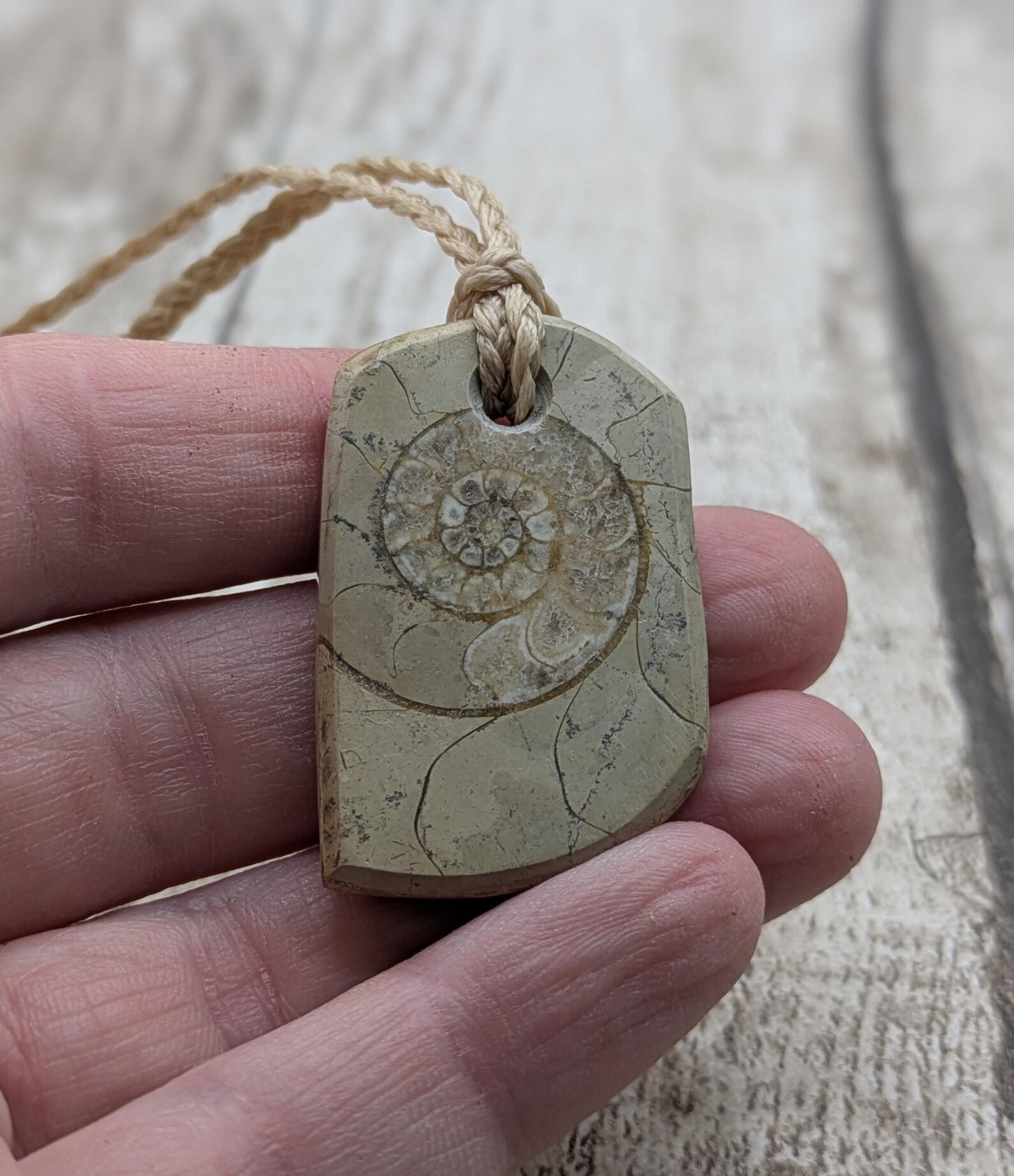 Jurassic Charmouth Ammonite Pendant – Calcite-Crystal in Limestone Fossil Necklace - Natural history - Fibonacci sequence amulet.