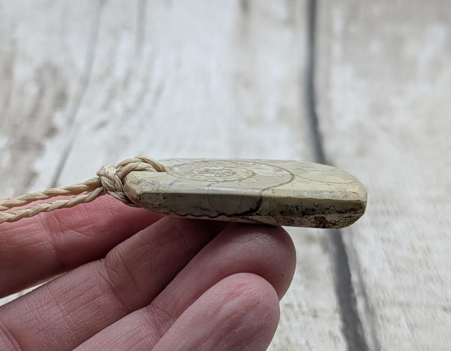 Jurassic Charmouth Ammonite Pendant – Calcite-Crystal in Limestone Fossil Necklace - Natural history - Fibonacci sequence amulet.