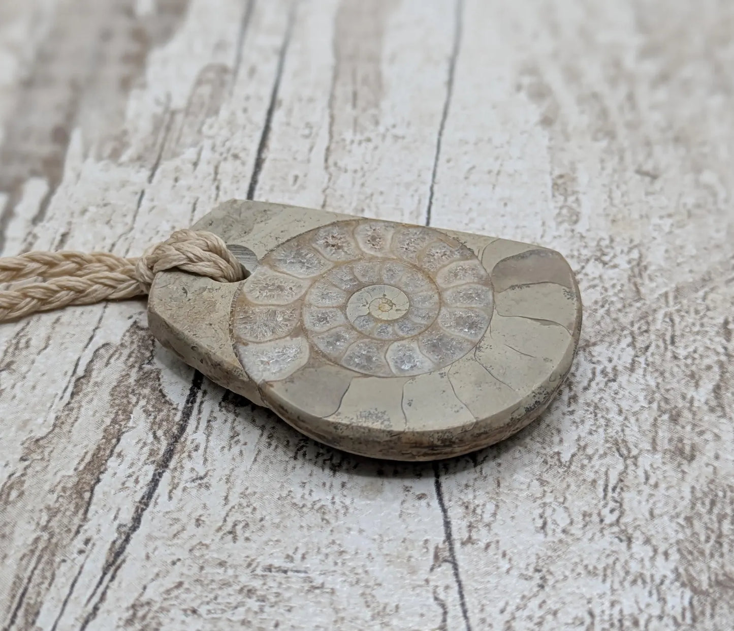 Jurassic Charmouth Ammonite Pendant – Calcite-Crystal in Limestone Fossil Necklace - Natural history - Fibonacci sequence amulet.