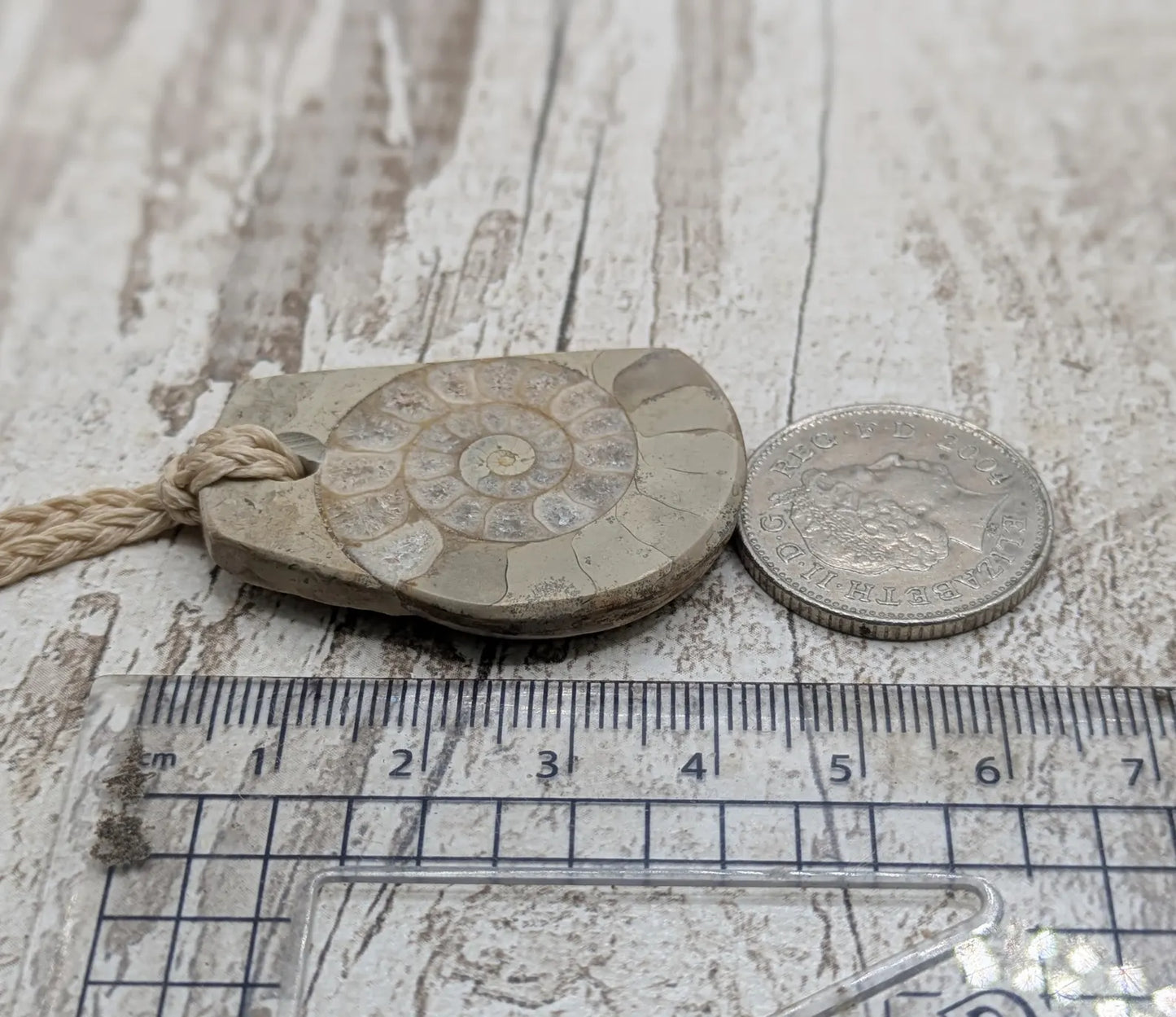 Jurassic Charmouth Ammonite Pendant – Calcite-Crystal in Limestone Fossil Necklace - Natural history - Fibonacci sequence amulet.