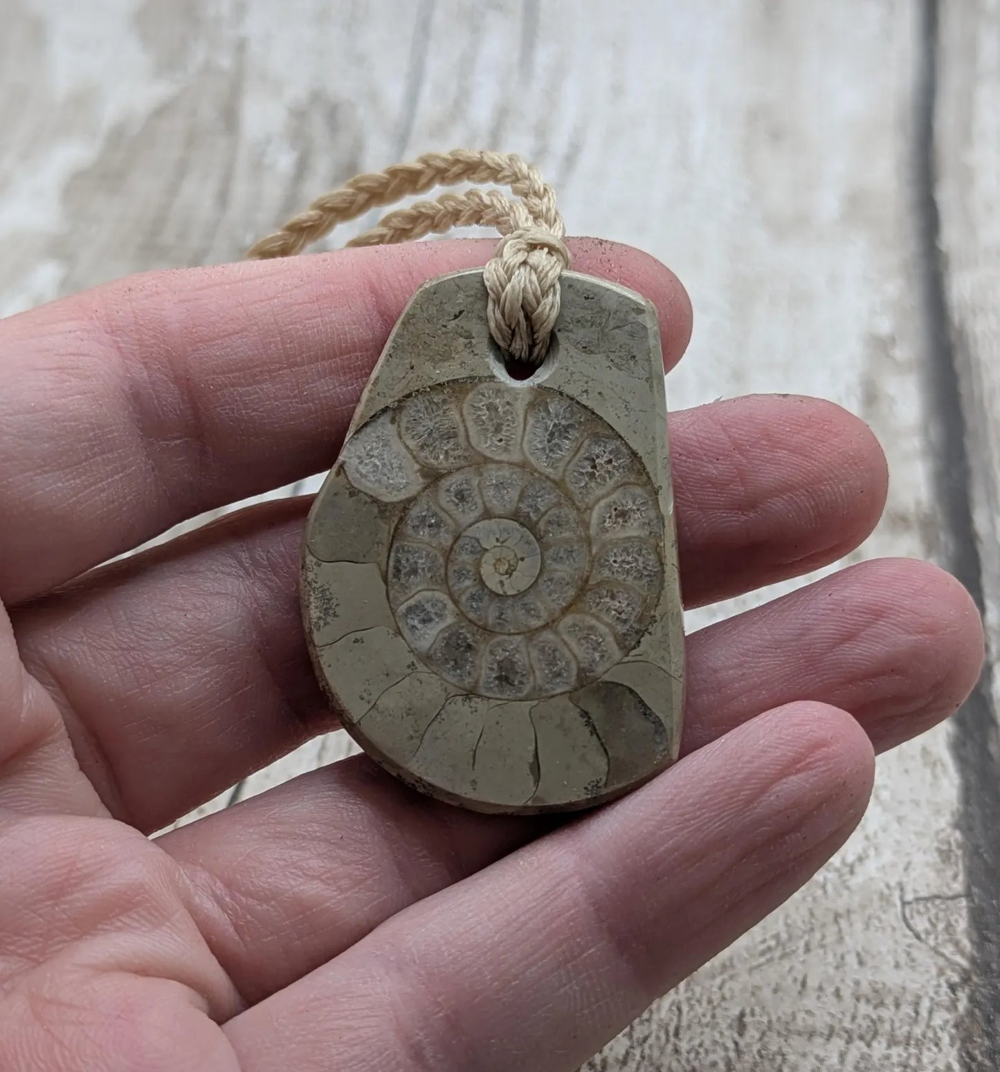 Jurassic Charmouth Ammonite Pendant – Calcite-Crystal in Limestone Fossil Necklace - Natural history - Fibonacci sequence amulet.