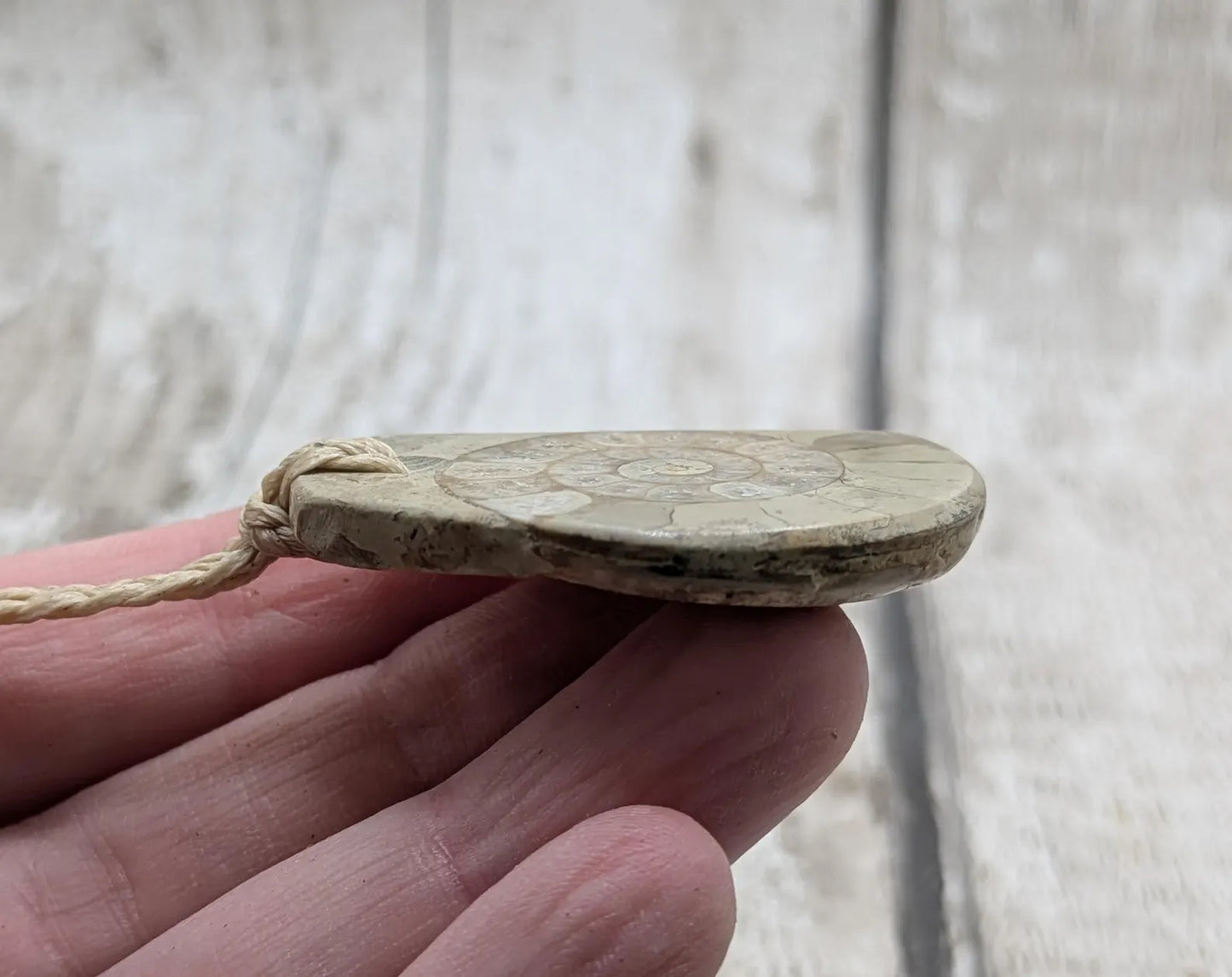 Jurassic Charmouth Ammonite Pendant – Calcite-Crystal in Limestone Fossil Necklace - Natural history - Fibonacci sequence amulet.