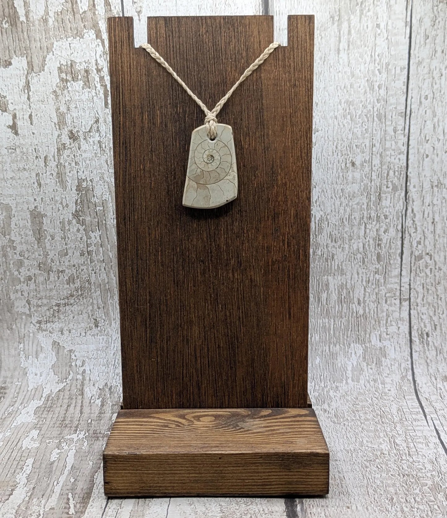 Jurassic Charmouth Ammonite Pendant – Calcite-Crystal in Limestone Fossil Necklace - Natural history - Fibonacci sequence amulet.