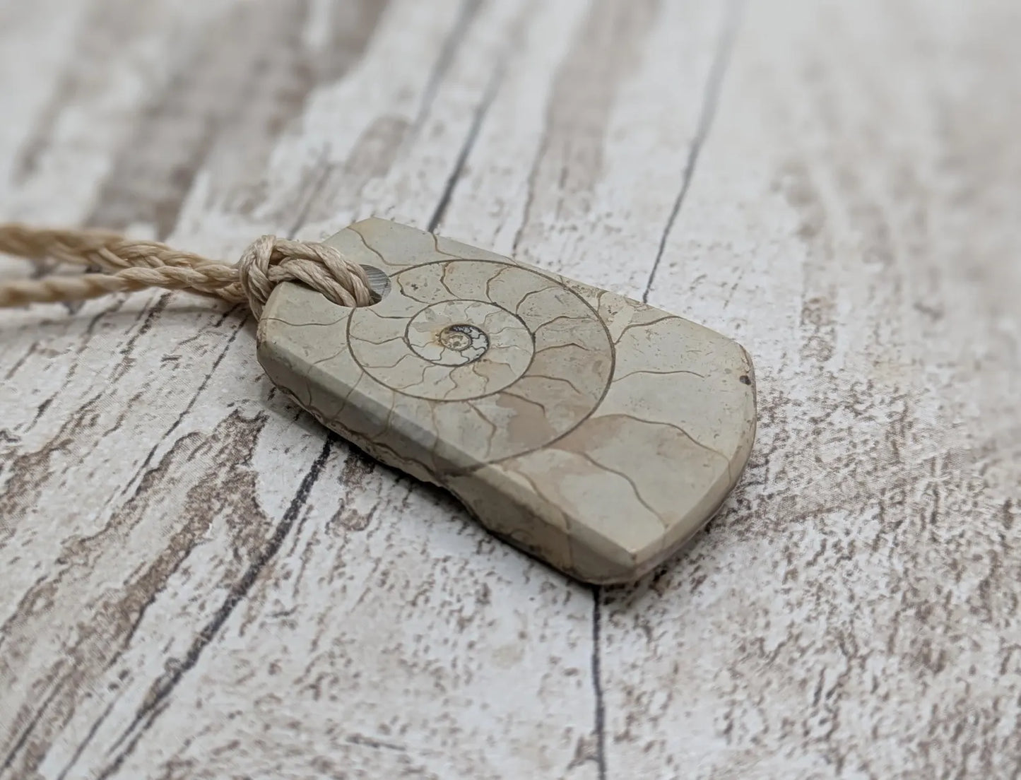 Jurassic Charmouth Ammonite Pendant – Calcite-Crystal in Limestone Fossil Necklace - Natural history - Fibonacci sequence amulet.