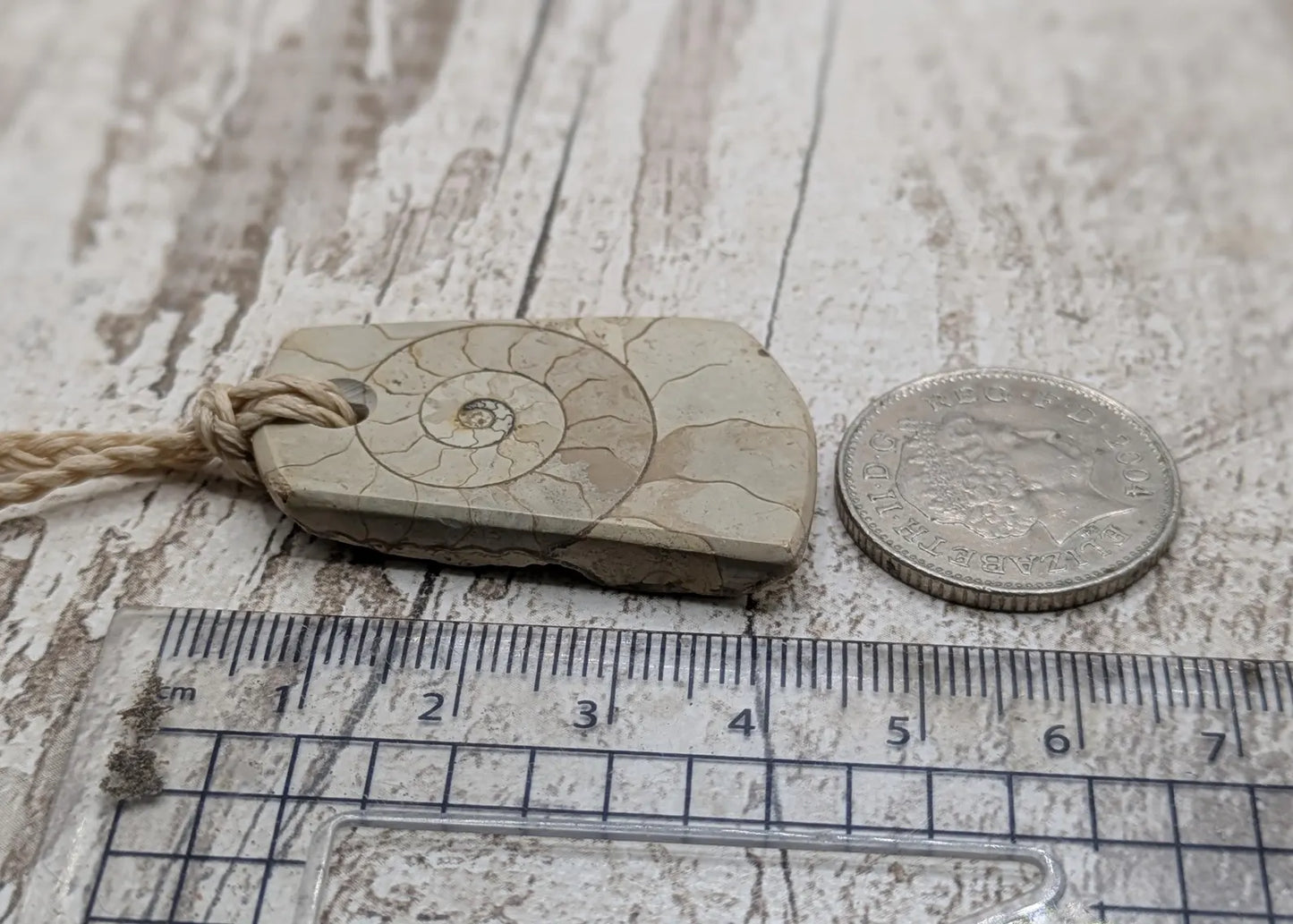 Jurassic Charmouth Ammonite Pendant – Calcite-Crystal in Limestone Fossil Necklace - Natural history - Fibonacci sequence amulet.