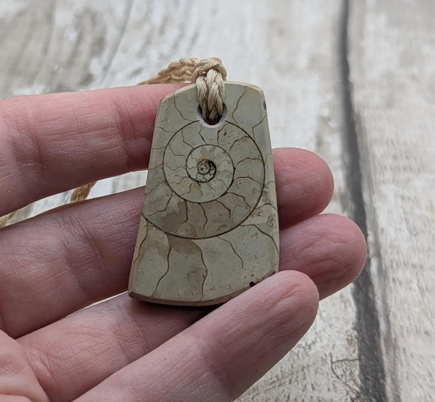 Jurassic Charmouth Ammonite Pendant – Calcite-Crystal in Limestone Fossil Necklace - Natural history - Fibonacci sequence amulet.
