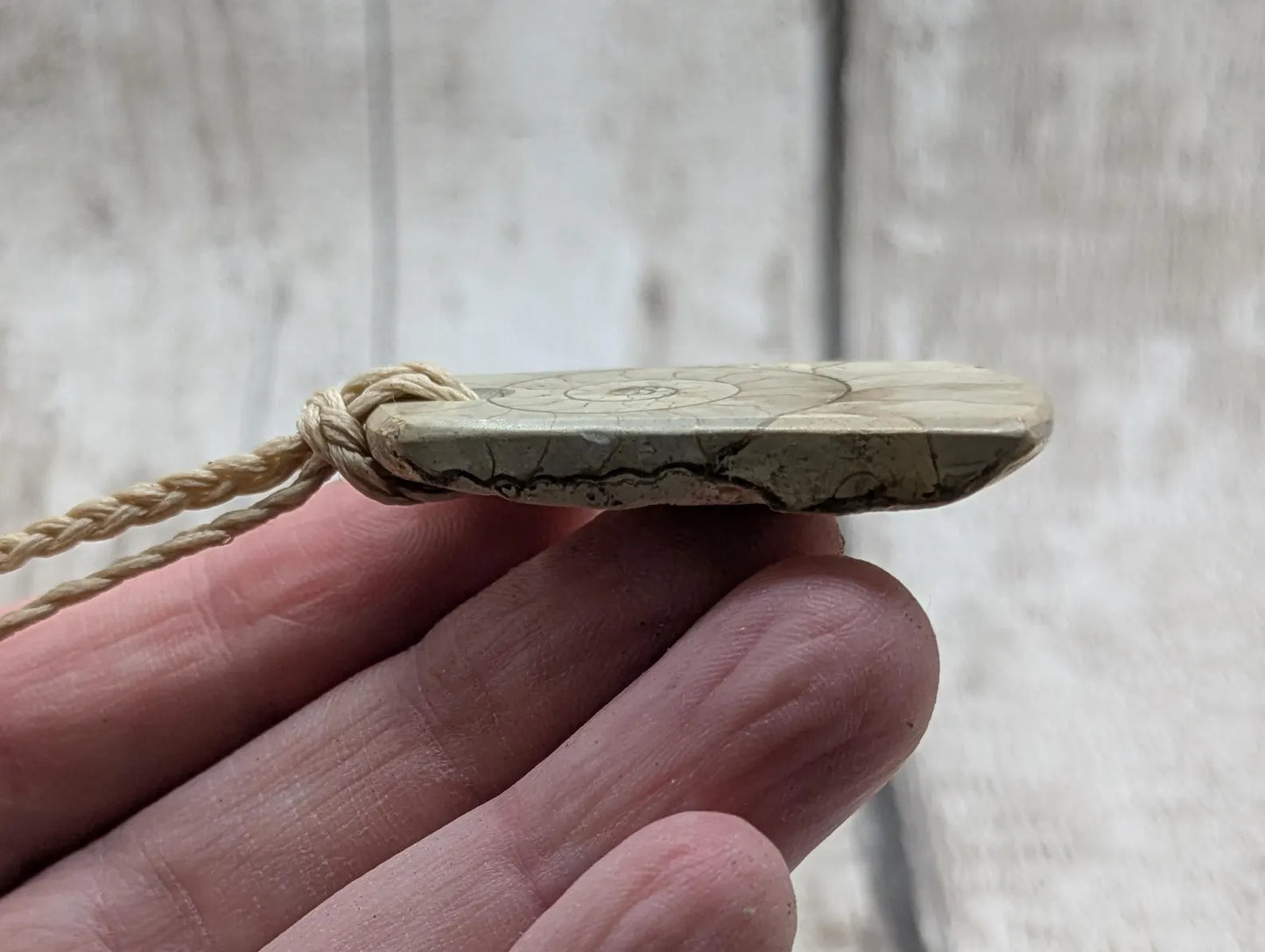 Jurassic Charmouth Ammonite Pendant – Calcite-Crystal in Limestone Fossil Necklace - Natural history - Fibonacci sequence amulet.