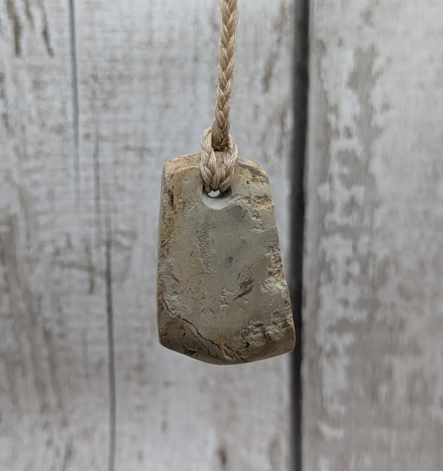 Jurassic Charmouth Ammonite Pendant – Calcite-Crystal in Limestone Fossil Necklace - Natural history - Fibonacci sequence amulet.