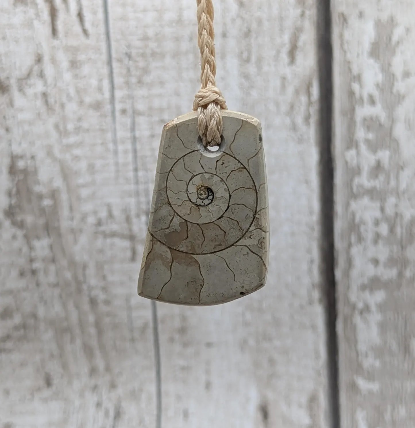 Jurassic Charmouth Ammonite Pendant – Calcite-Crystal in Limestone Fossil Necklace - Natural history - Fibonacci sequence amulet.