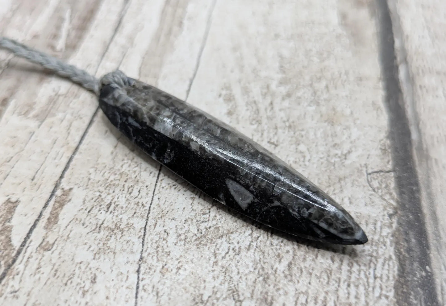 Polished Orthoceras Fossil Pendant – Ancient Cephalopod Fossil from Morocco | 400 Million Year Old Natural History Gift