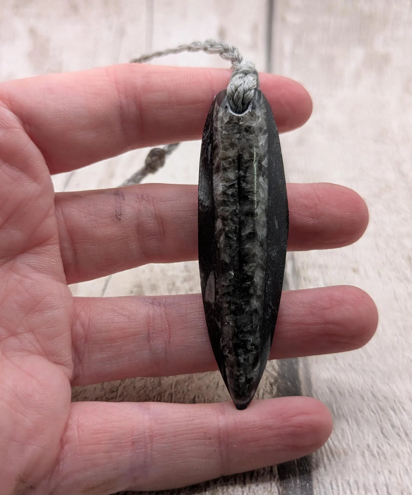 Polished Orthoceras Fossil Pendant – Ancient Cephalopod Fossil from Morocco | 400 Million Year Old Natural History Gift